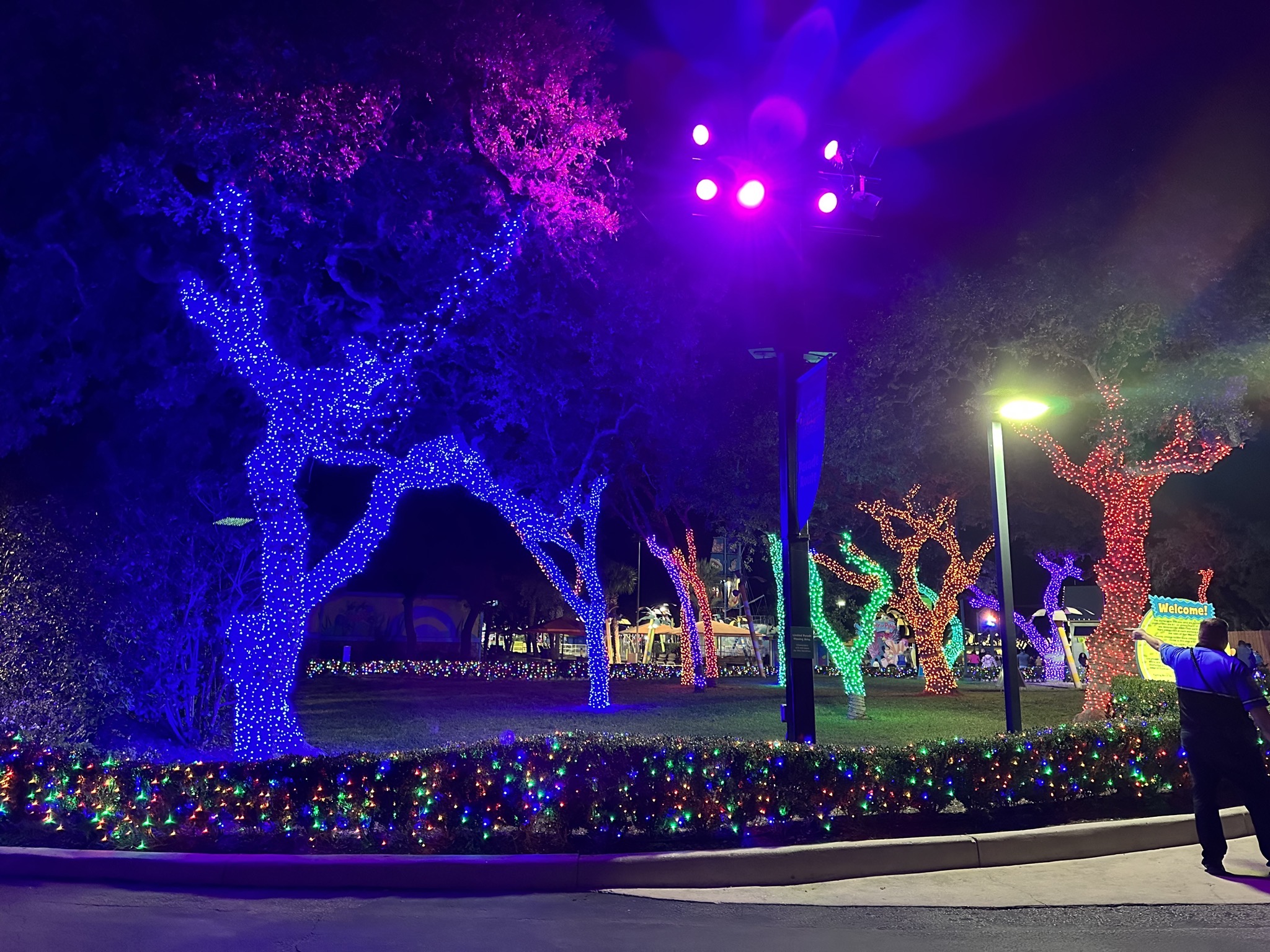 Lights
