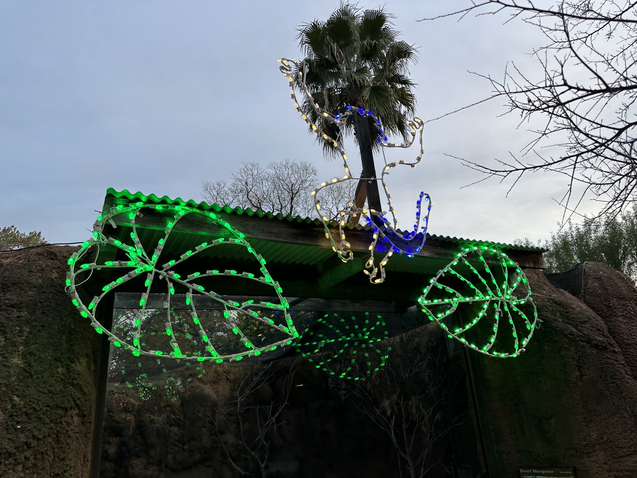 Holiday lights