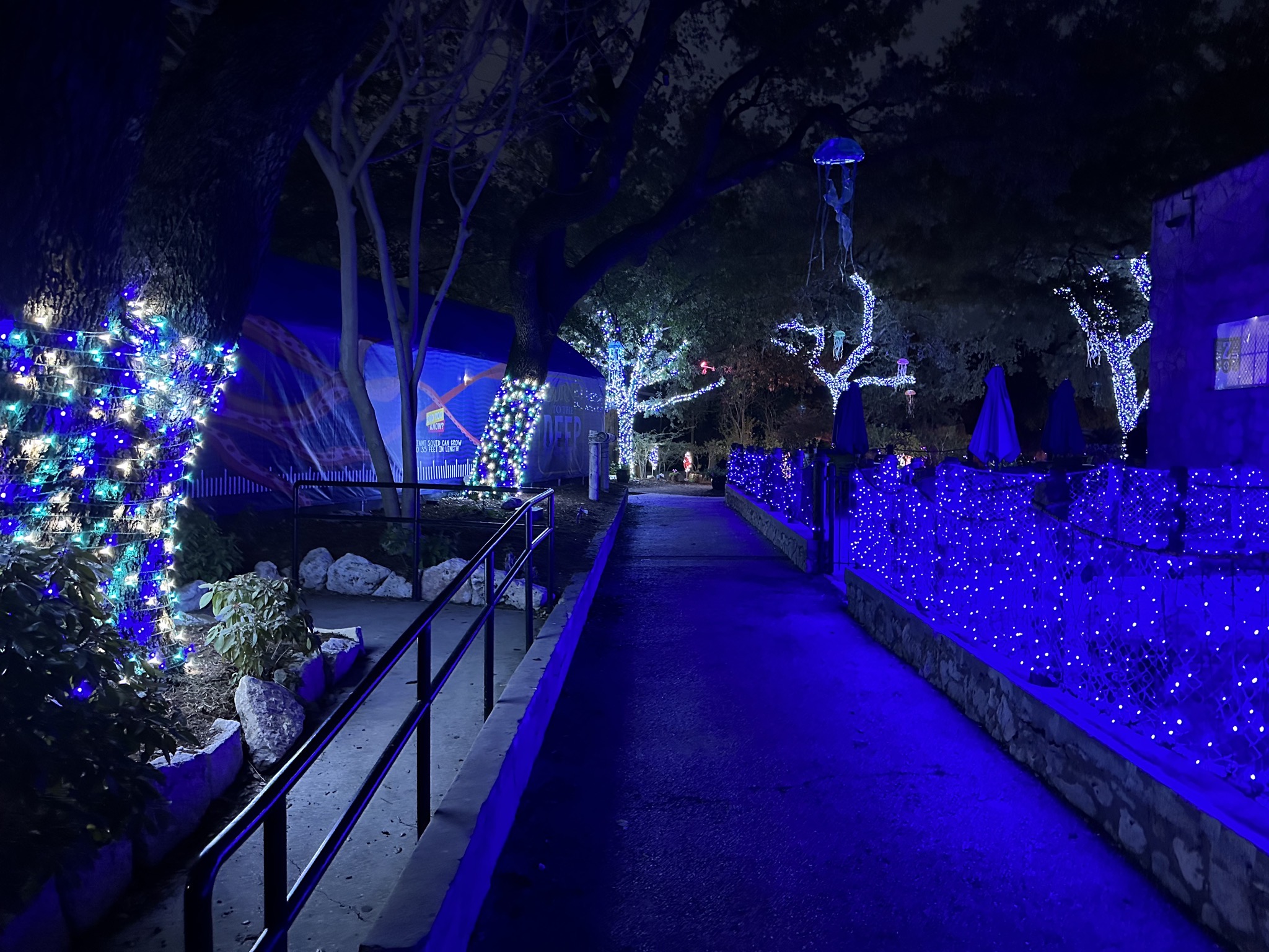Holiday lights
