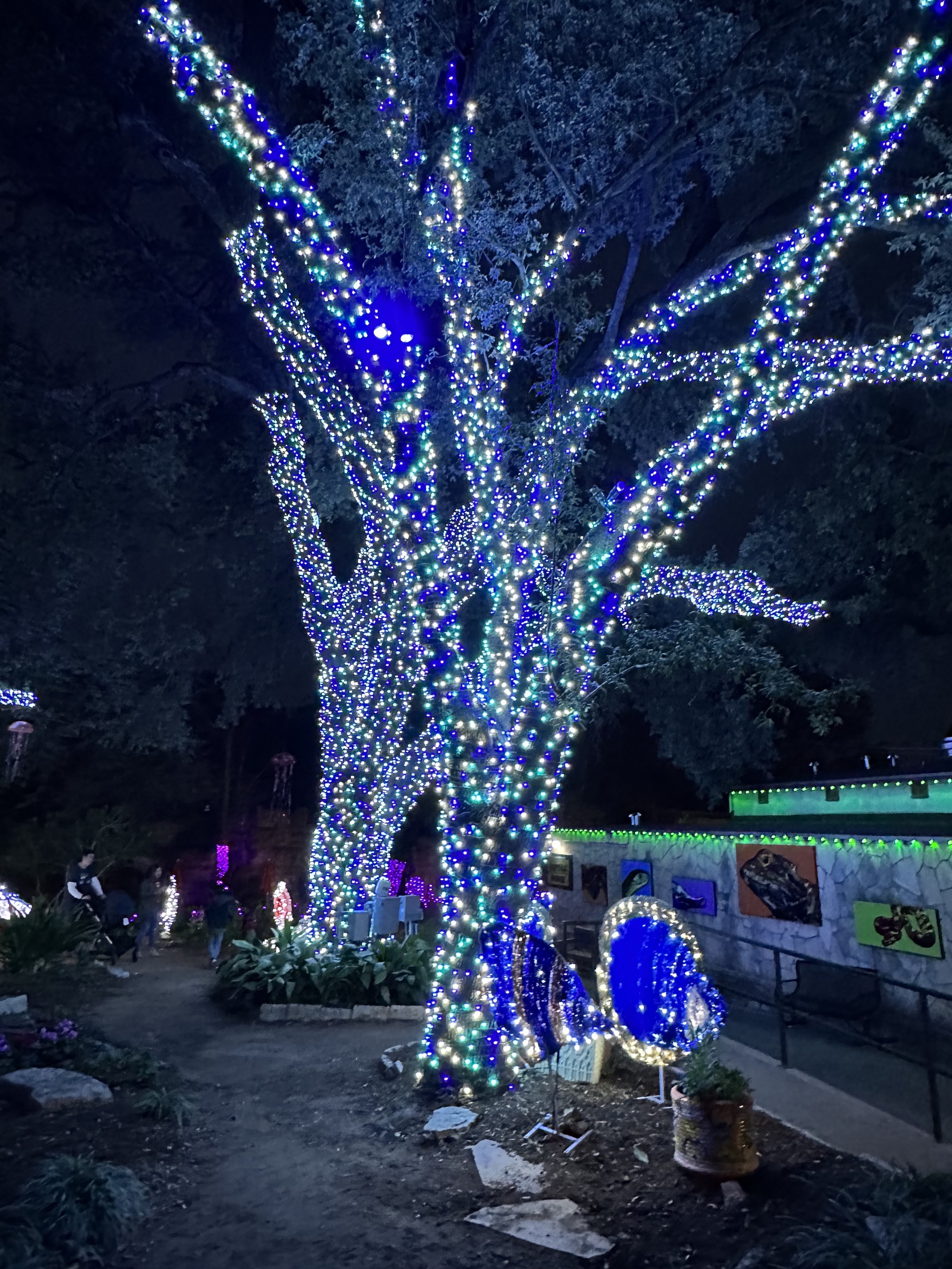 Holiday lights