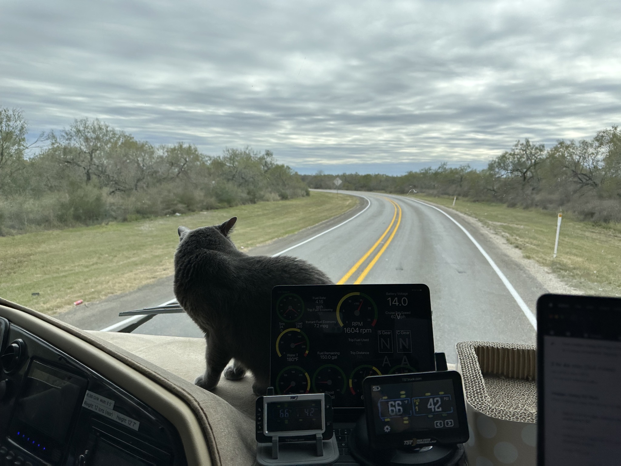 Paladin on the dash again
