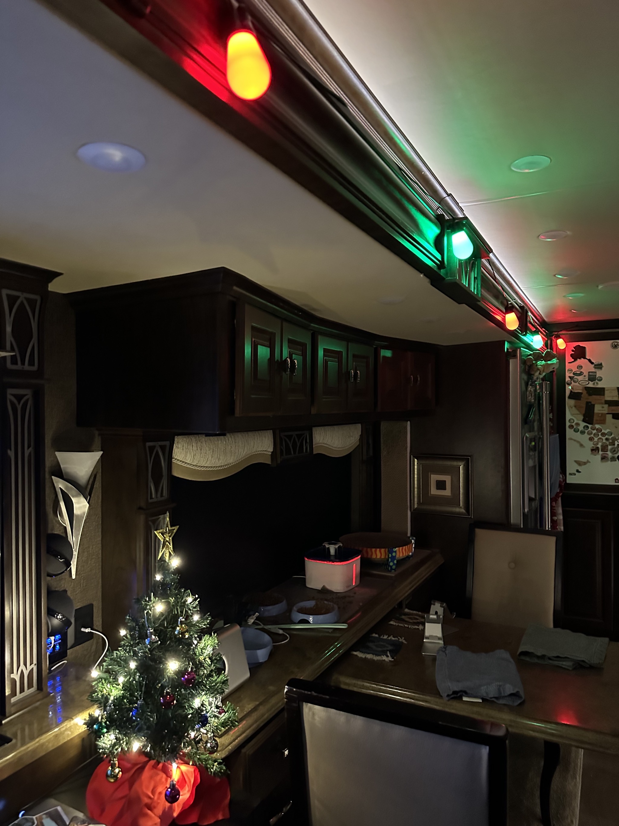 Christmas lights and mini tree