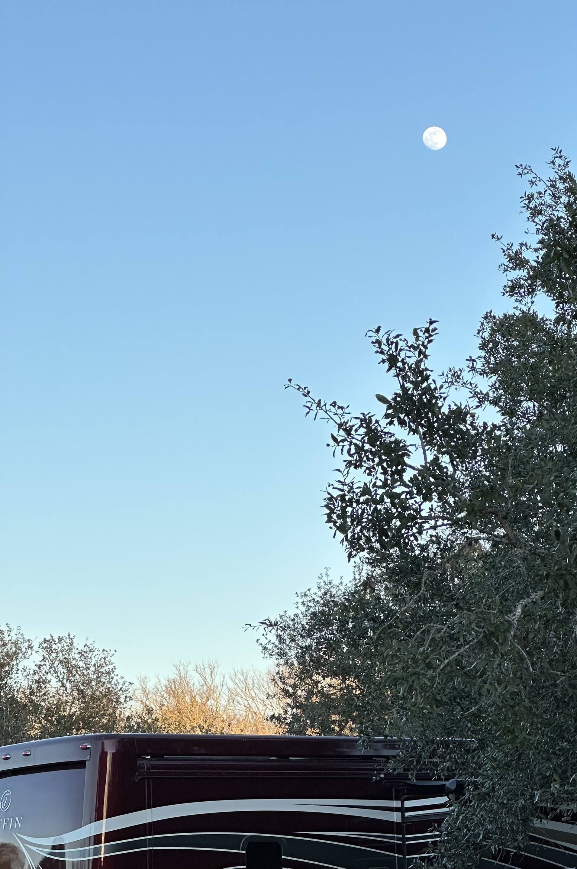 Moon