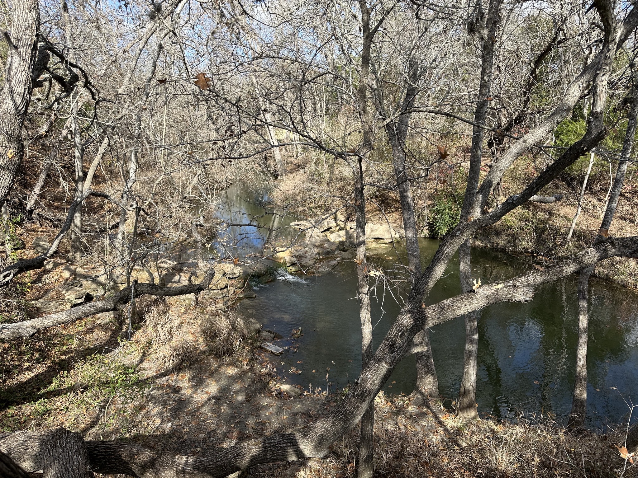 Clear Fork Creek