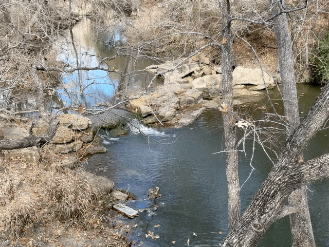 Clear Fork Creek