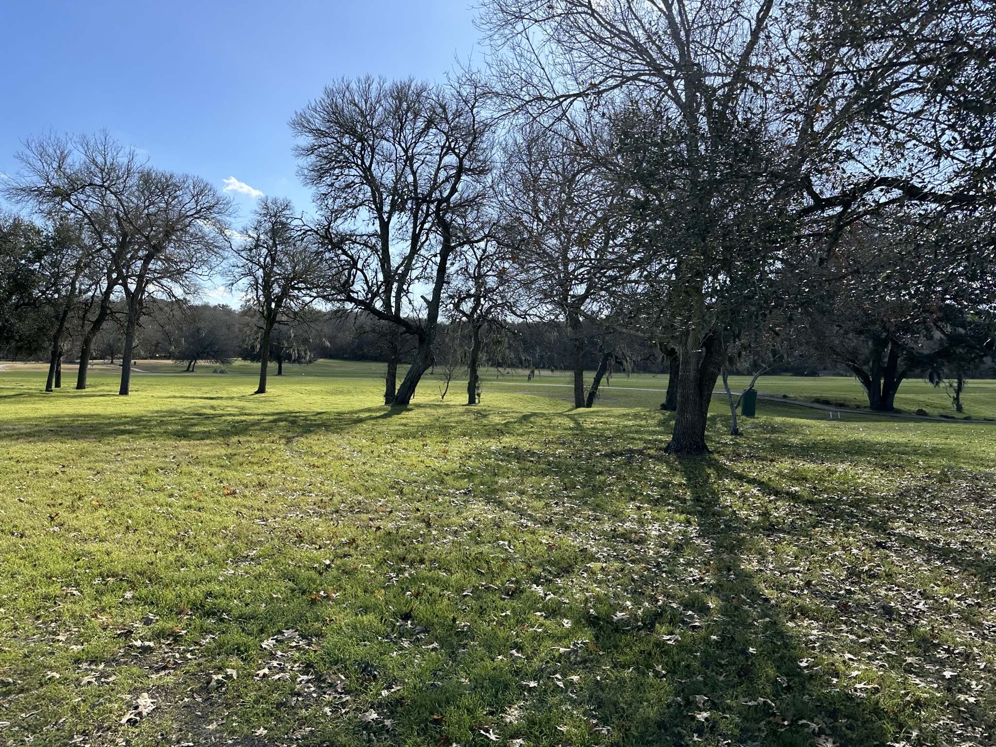 Golf course view