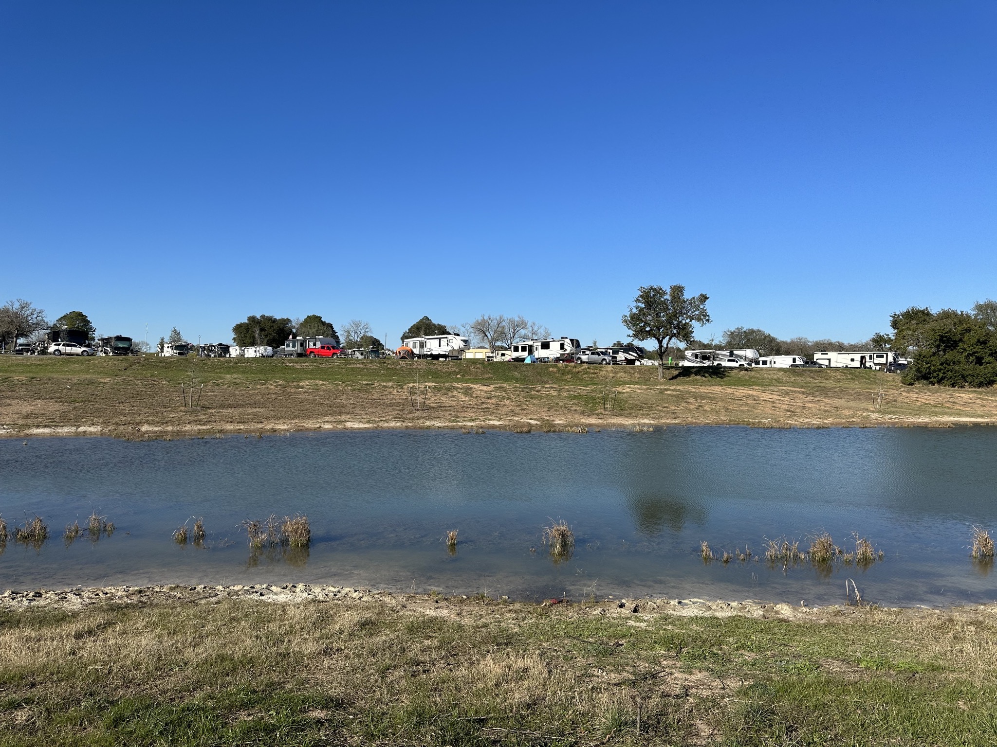 Pond