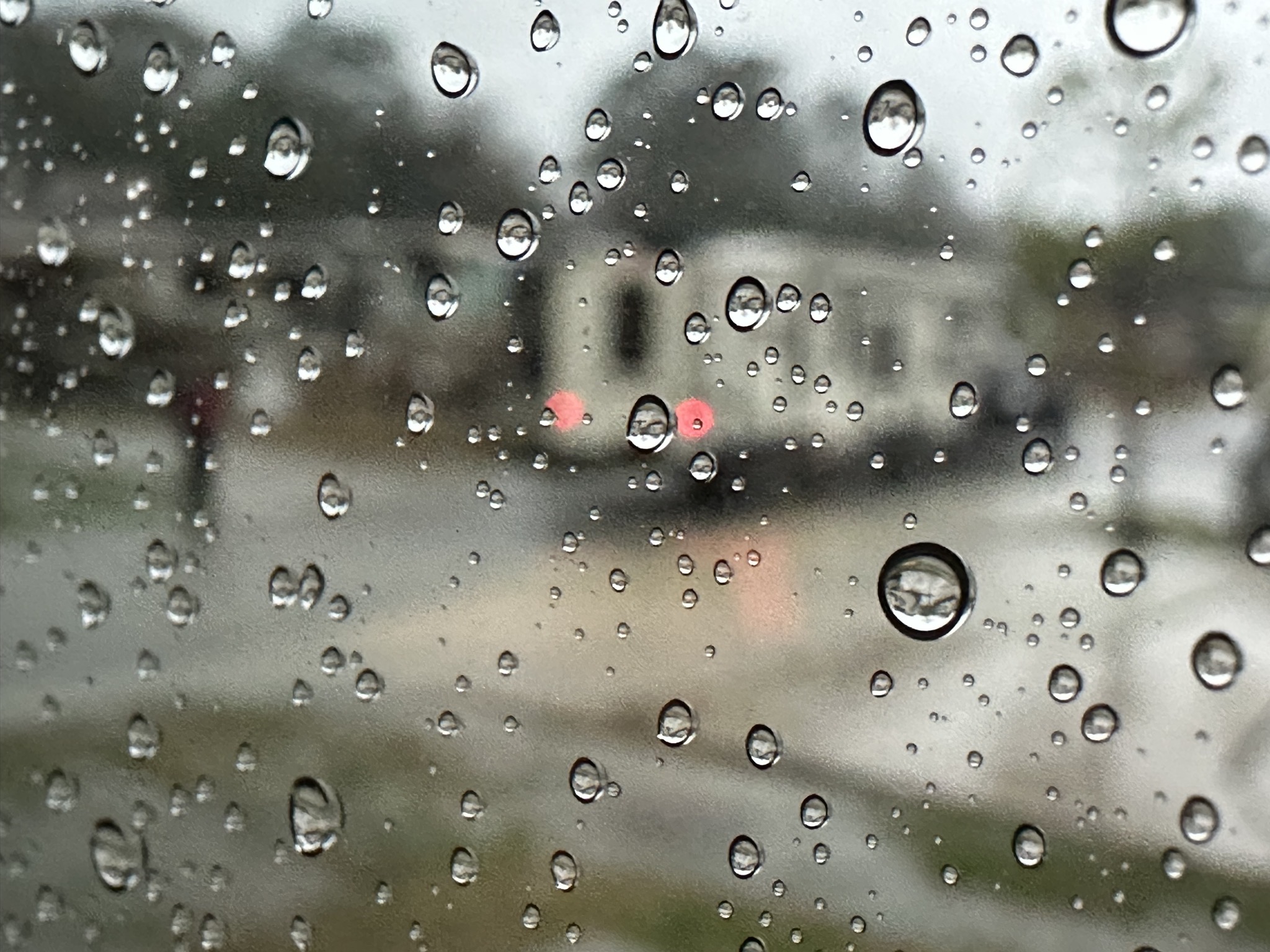 Rain