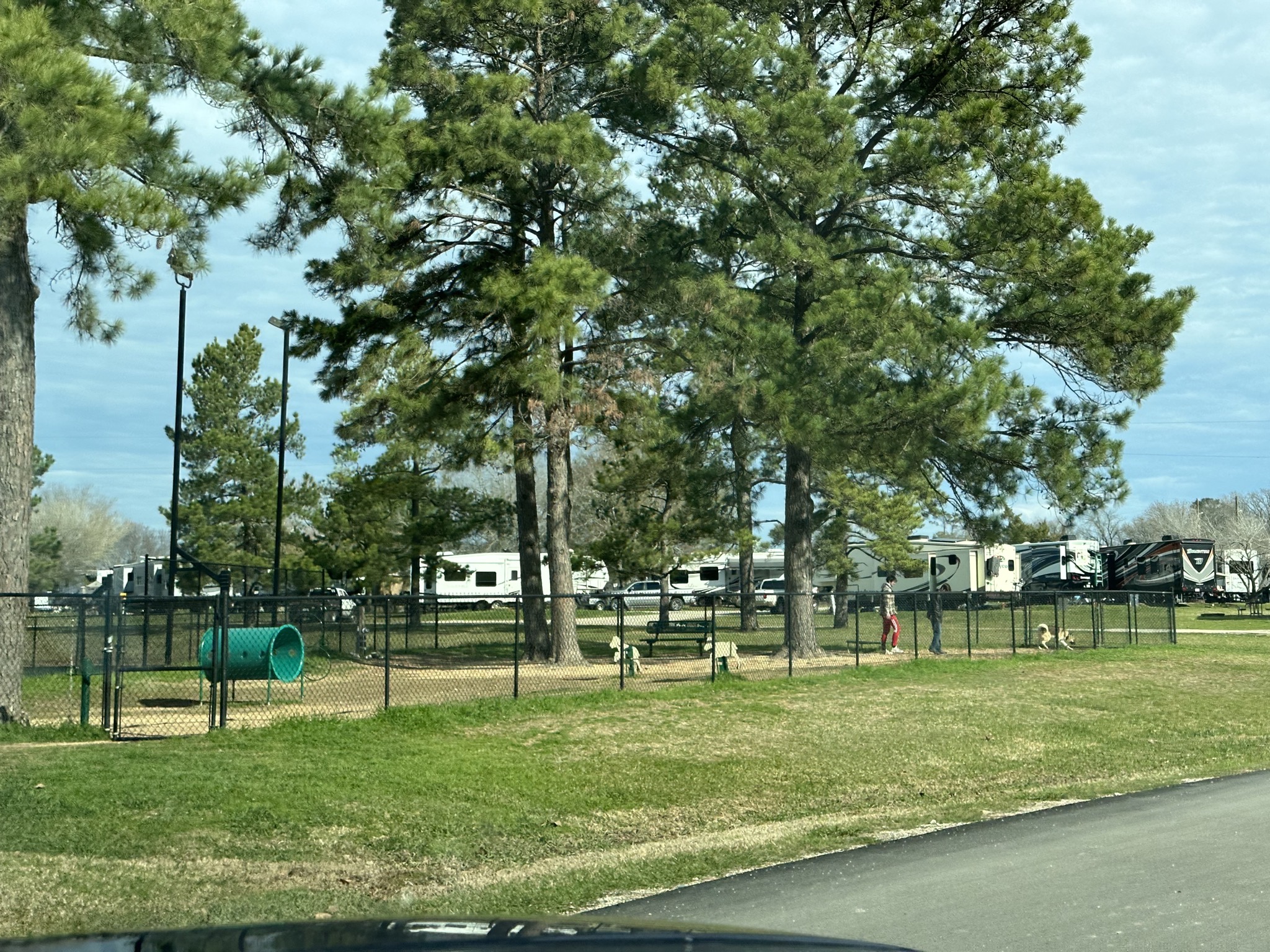 Dog park