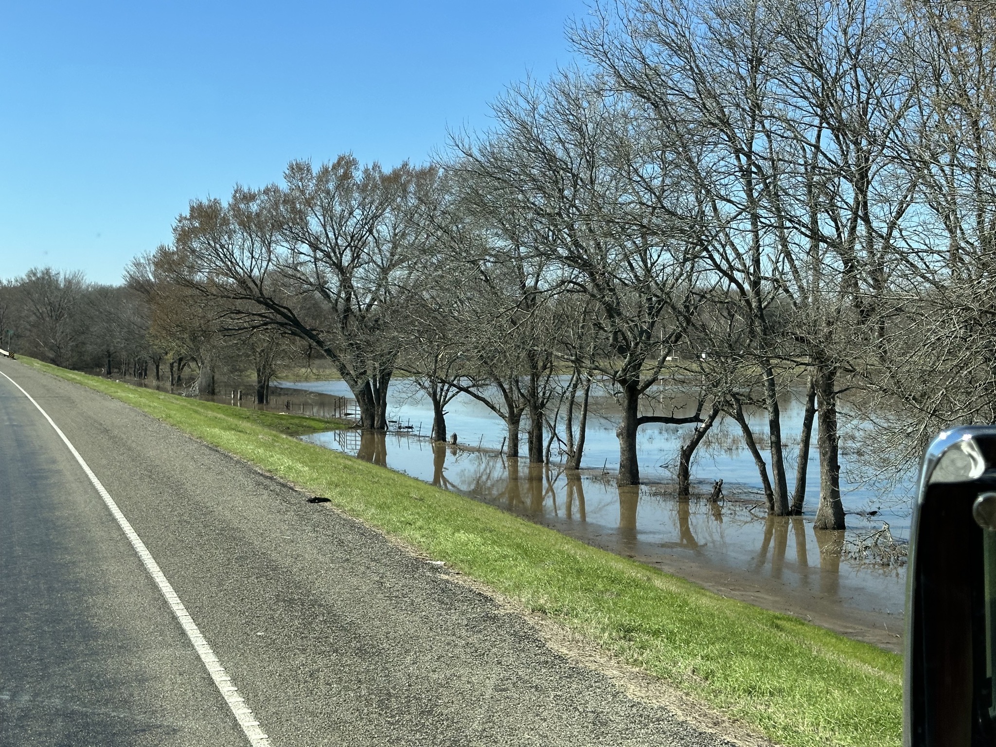 More flooded trees