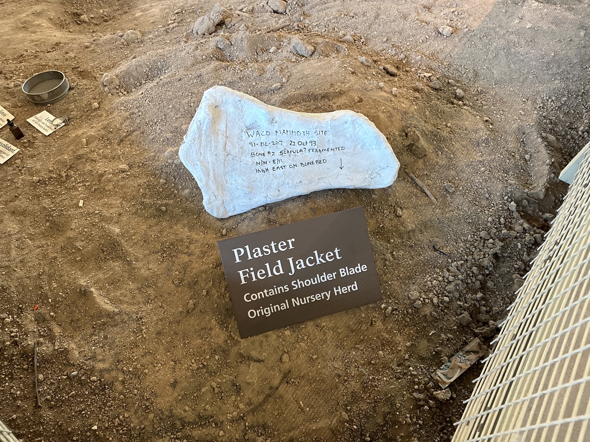 Fossils