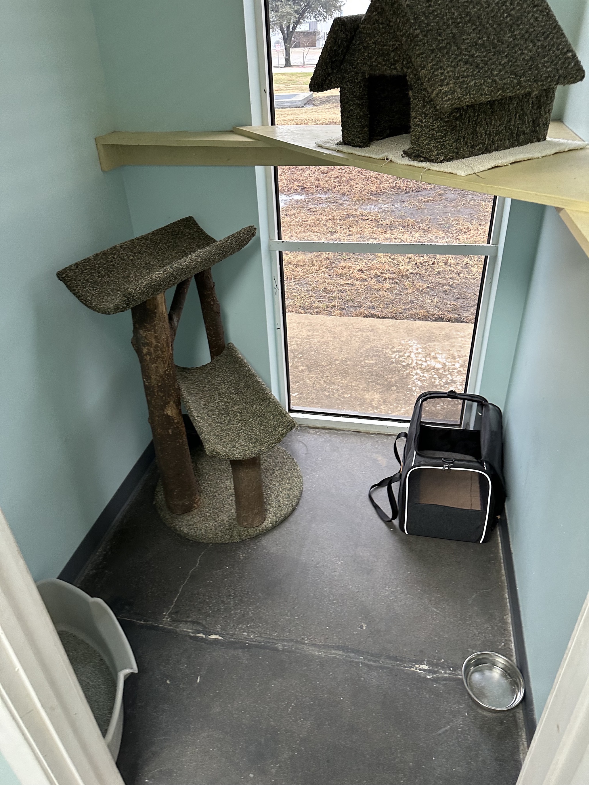 Cat boarding
