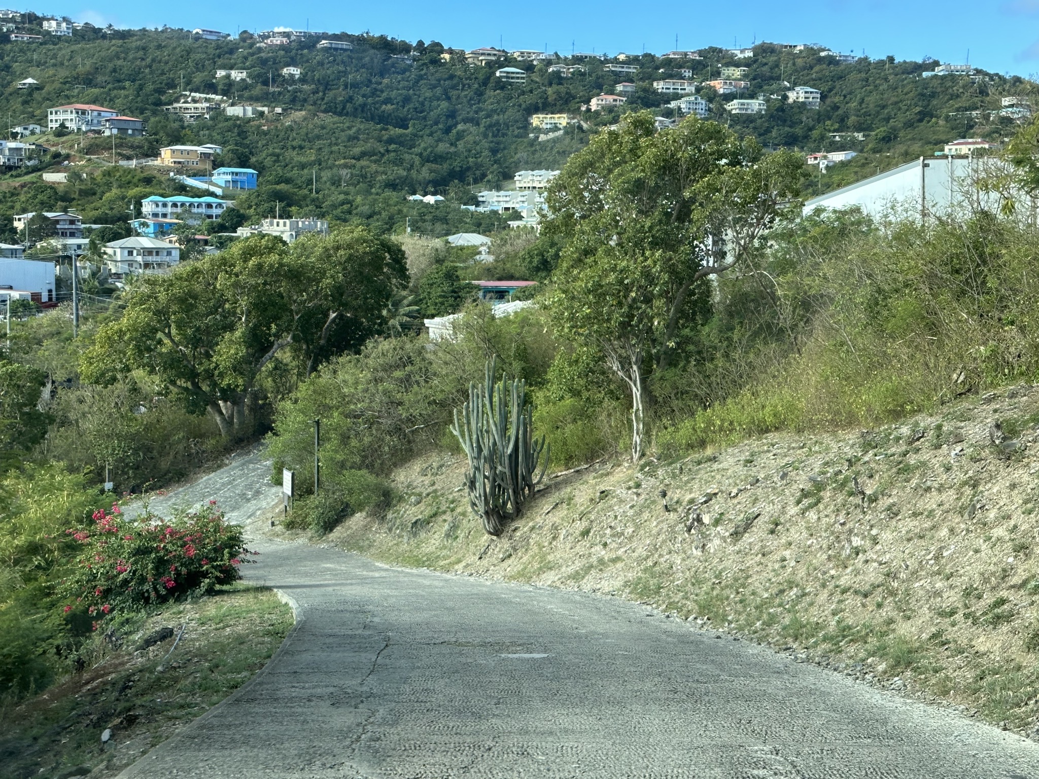 Steep driveway