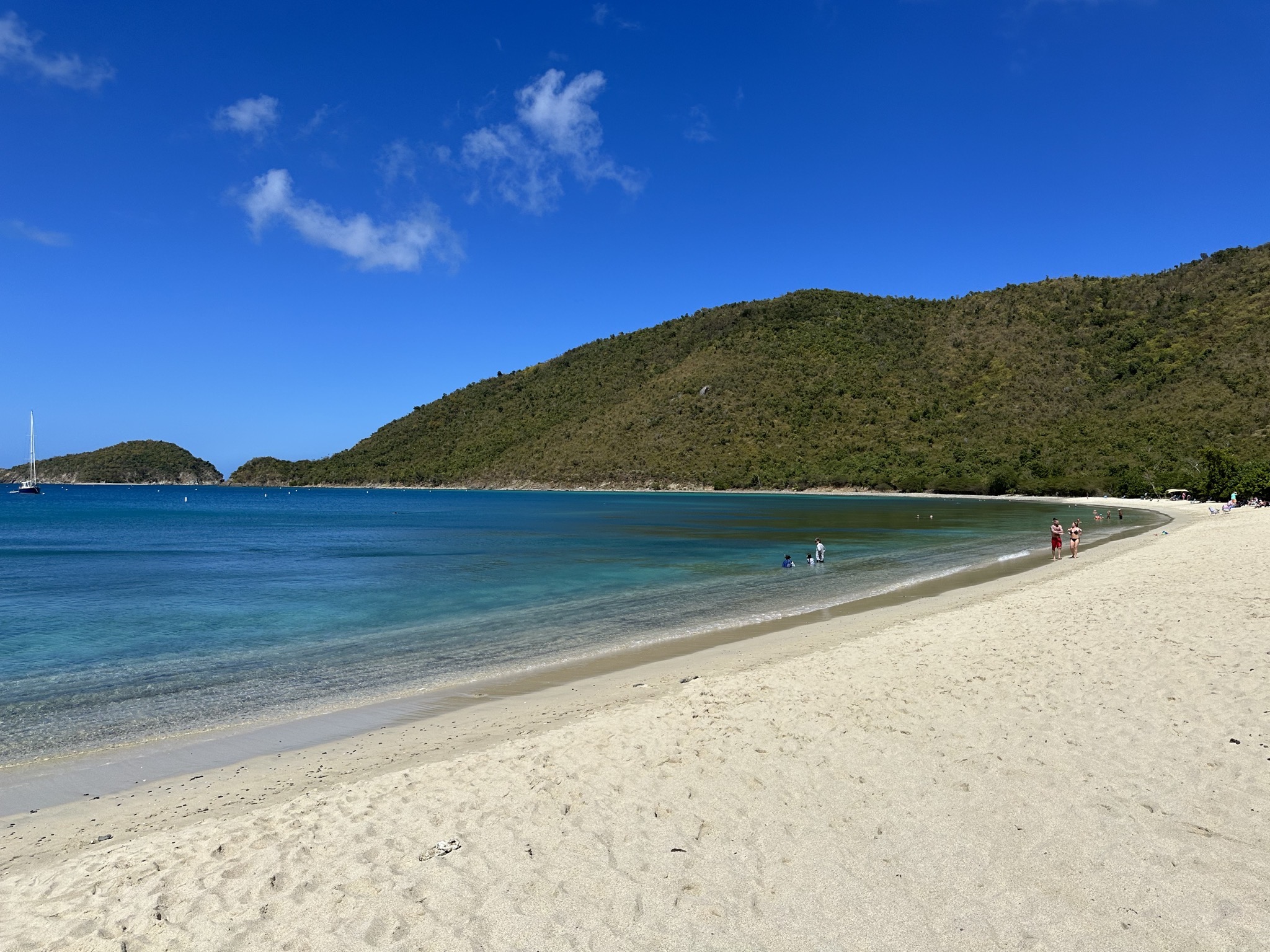 Francis Bay