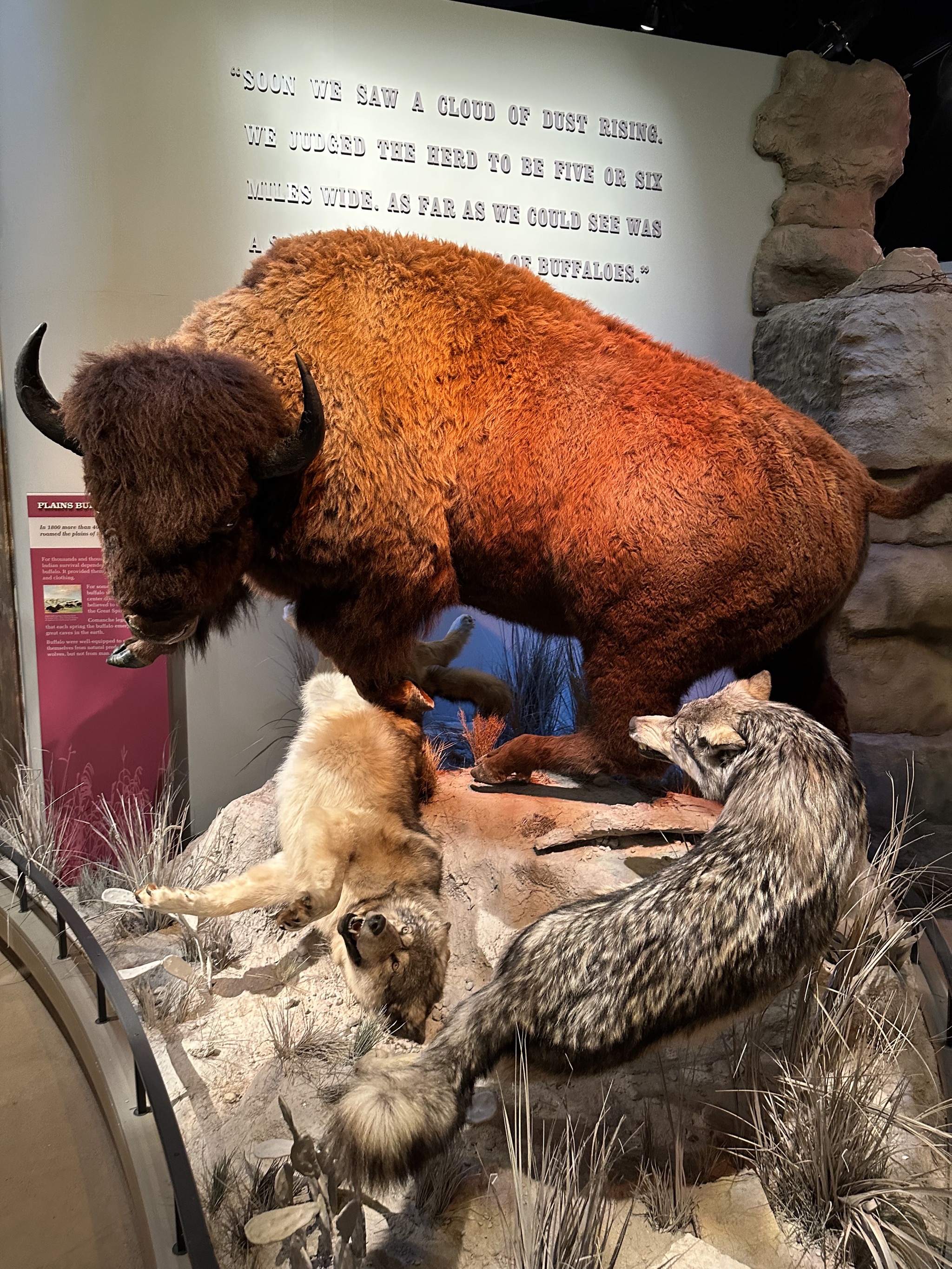 Exhibits