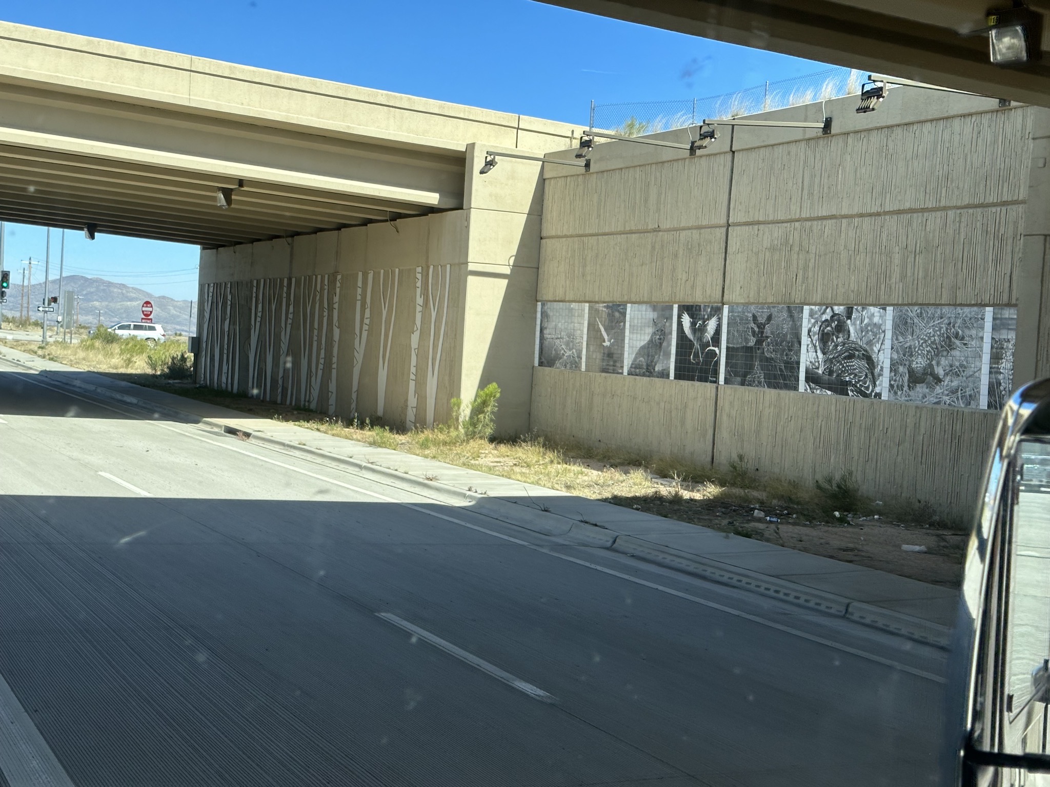 Overpass art