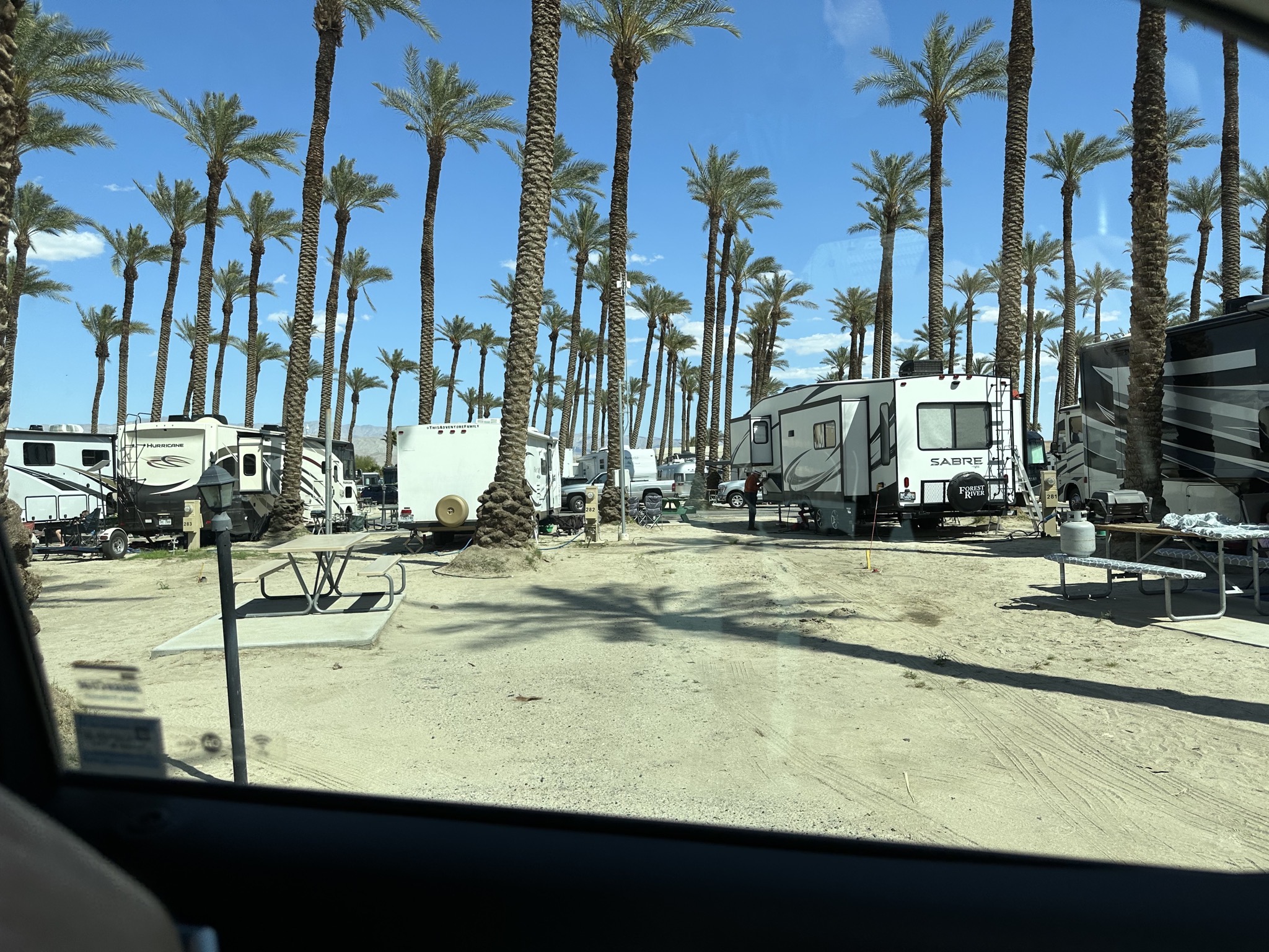 Our site when scouting