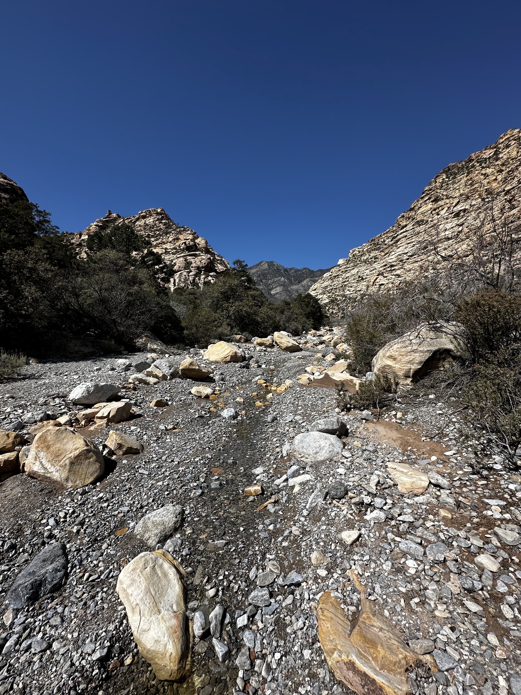 Red Rock Canyon