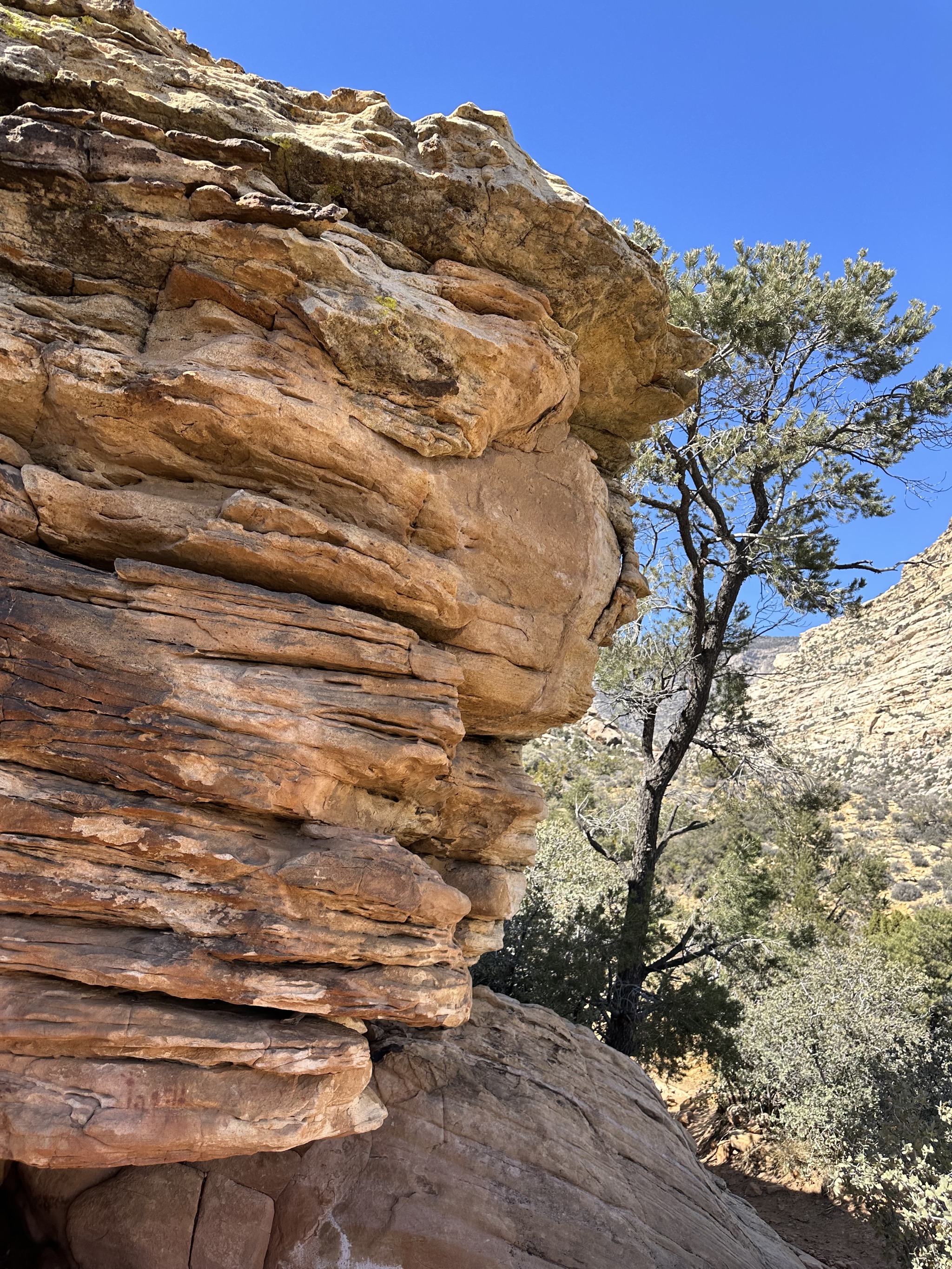 Red Rock Canyon