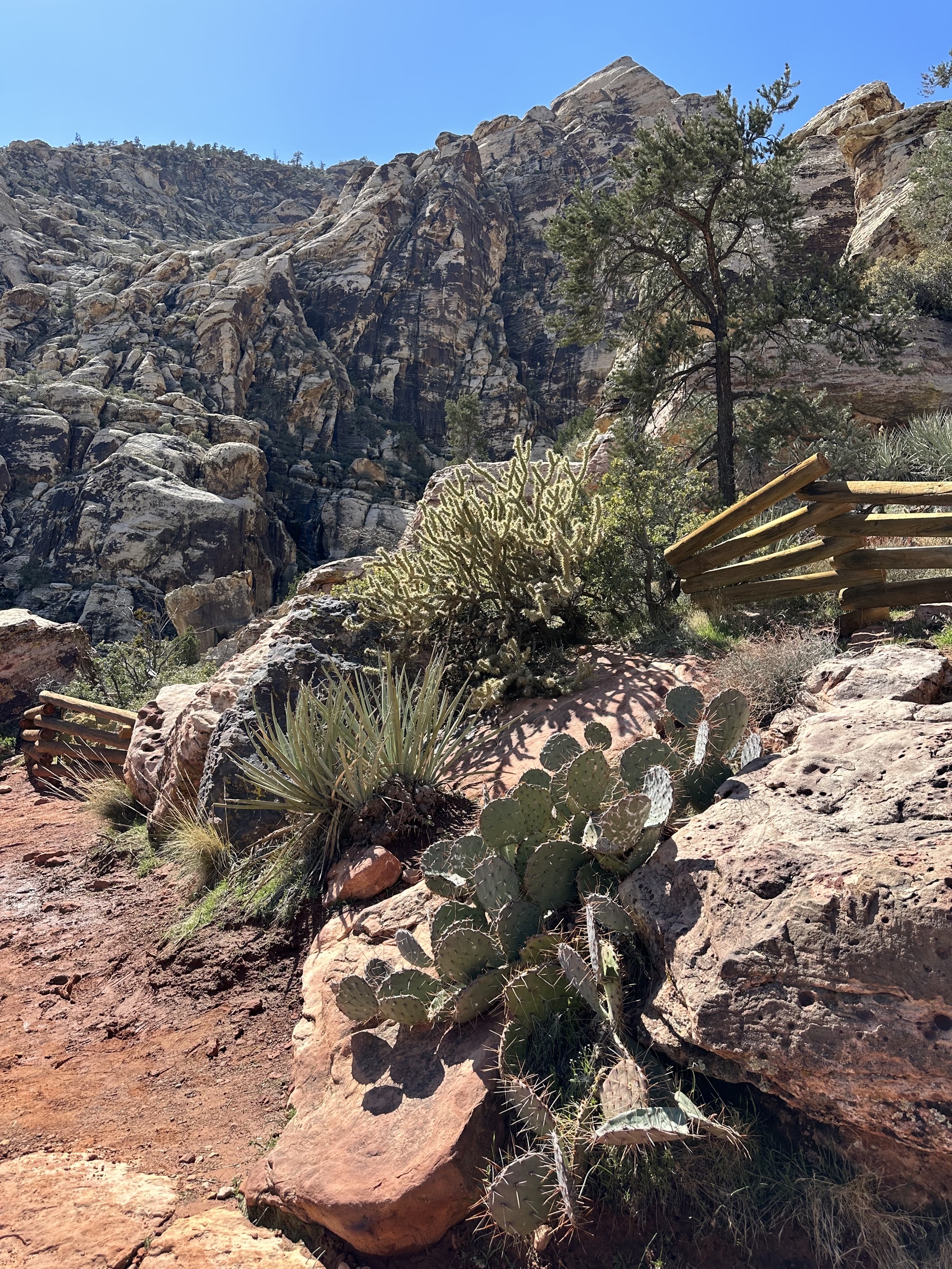 Red Rock Canyon