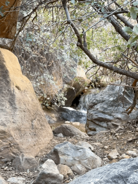 Red Rock Canyon