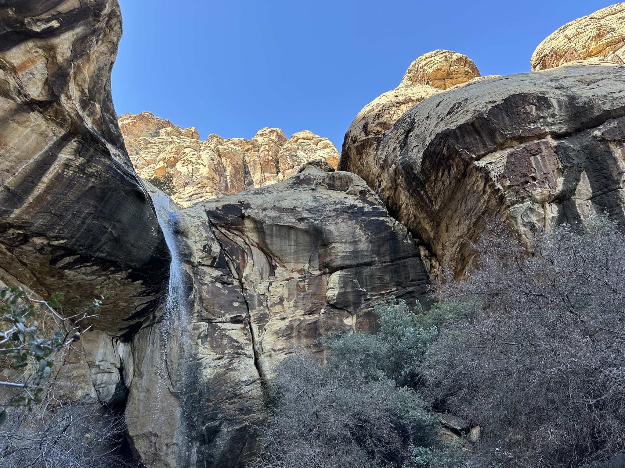 Red Rock Canyon