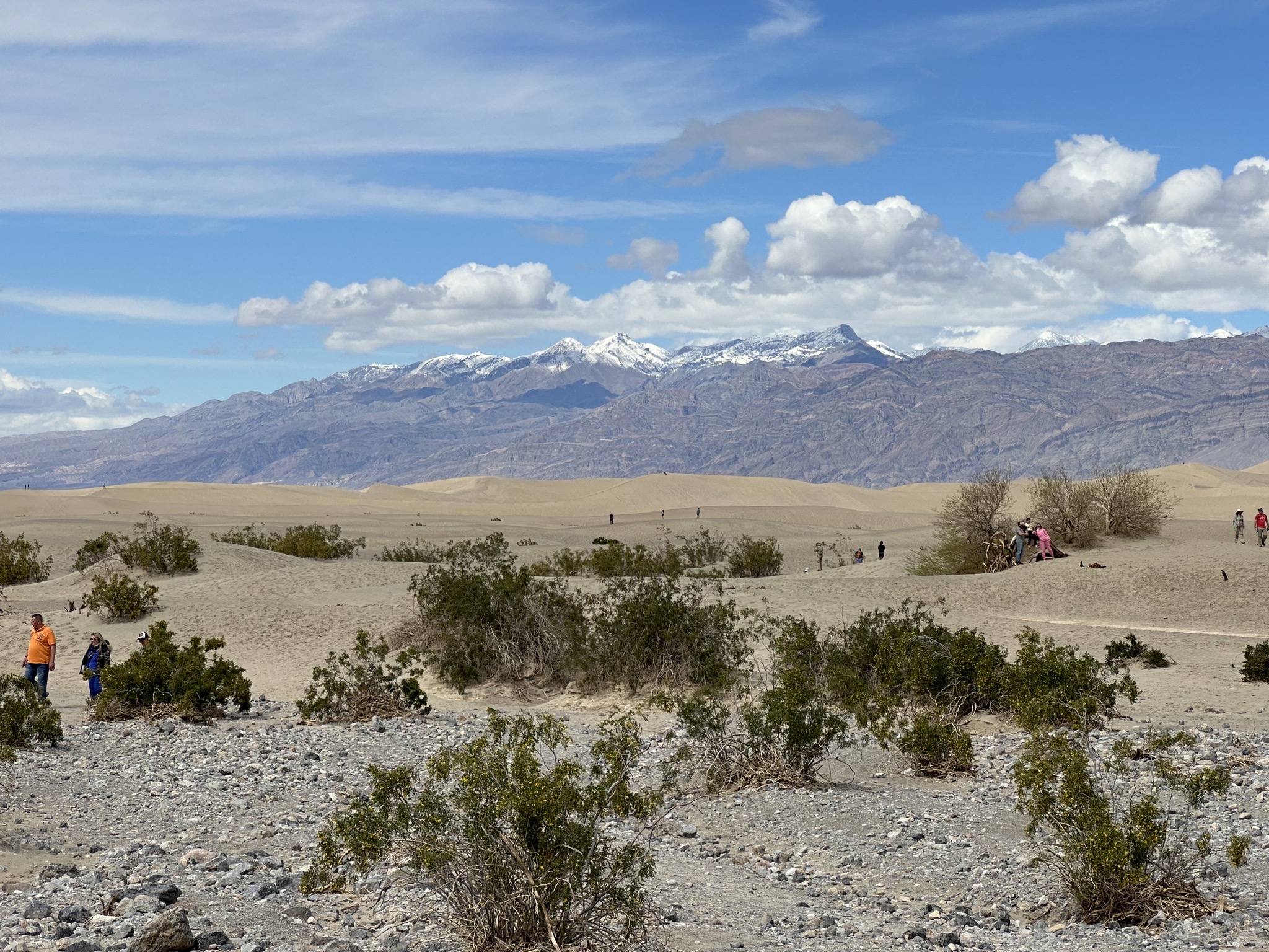 Mesquite Flat Sand Dunes