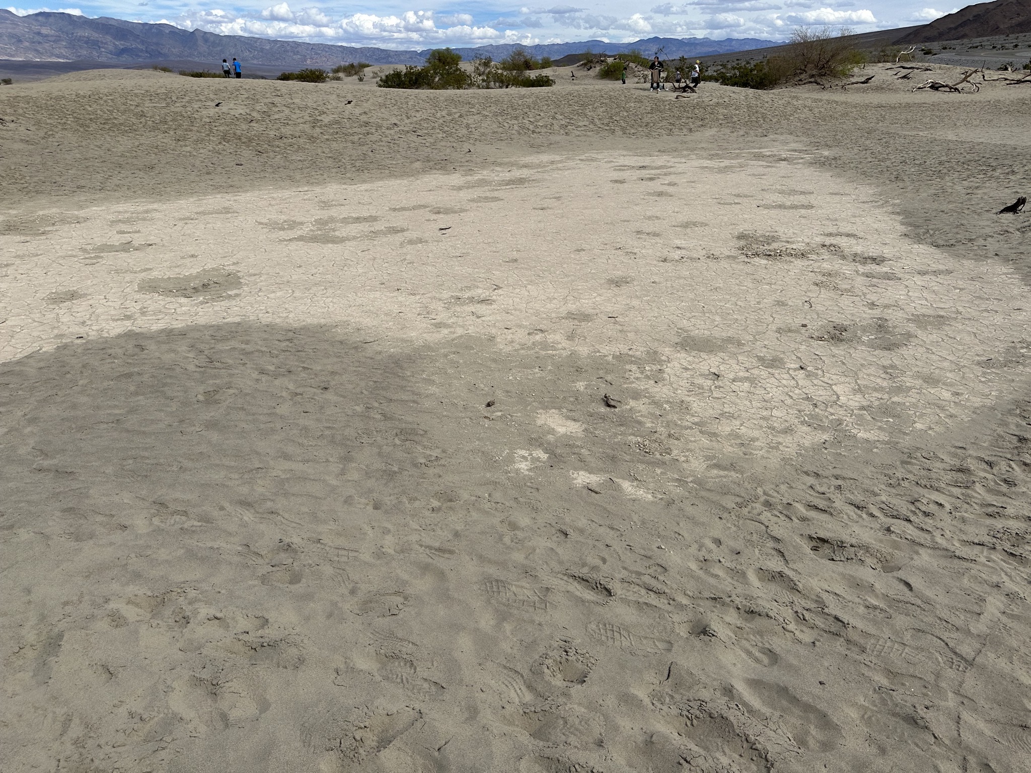 Mesquite Flat Sand Dunes