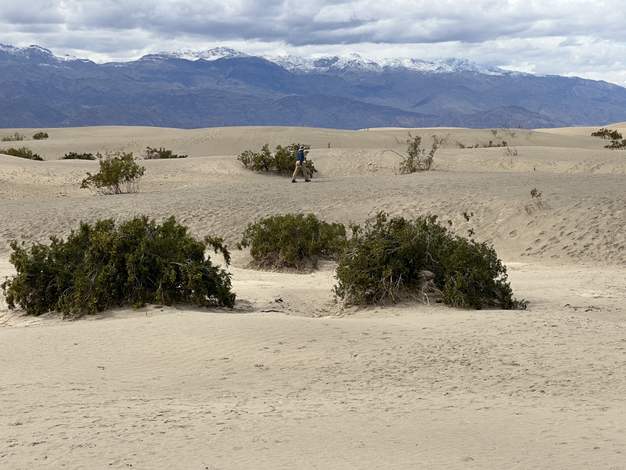 Mesquite Flat Sand Dunes