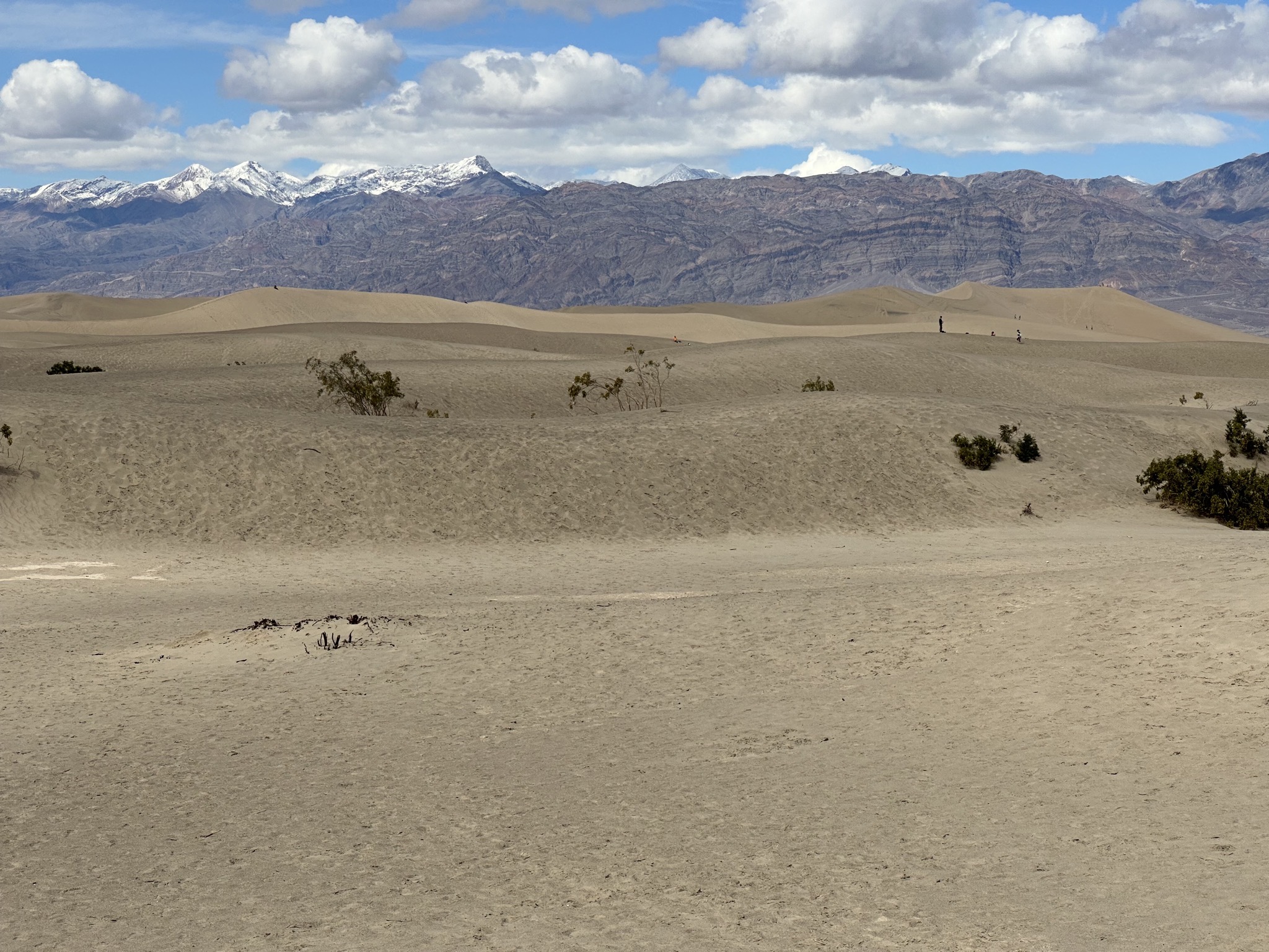 Mesquite Flat Sand Dunes