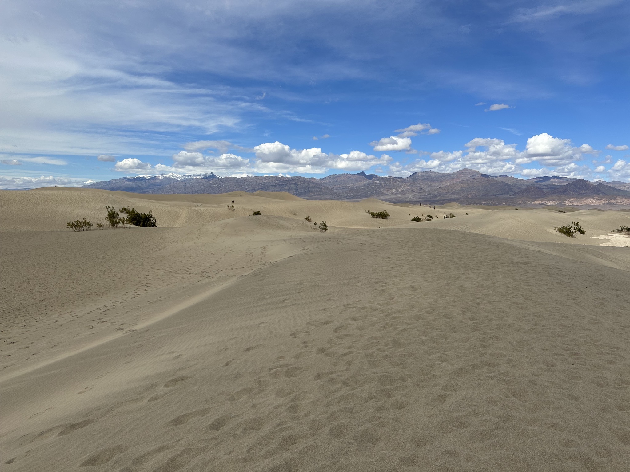 Mesquite Flat Sand Dunes