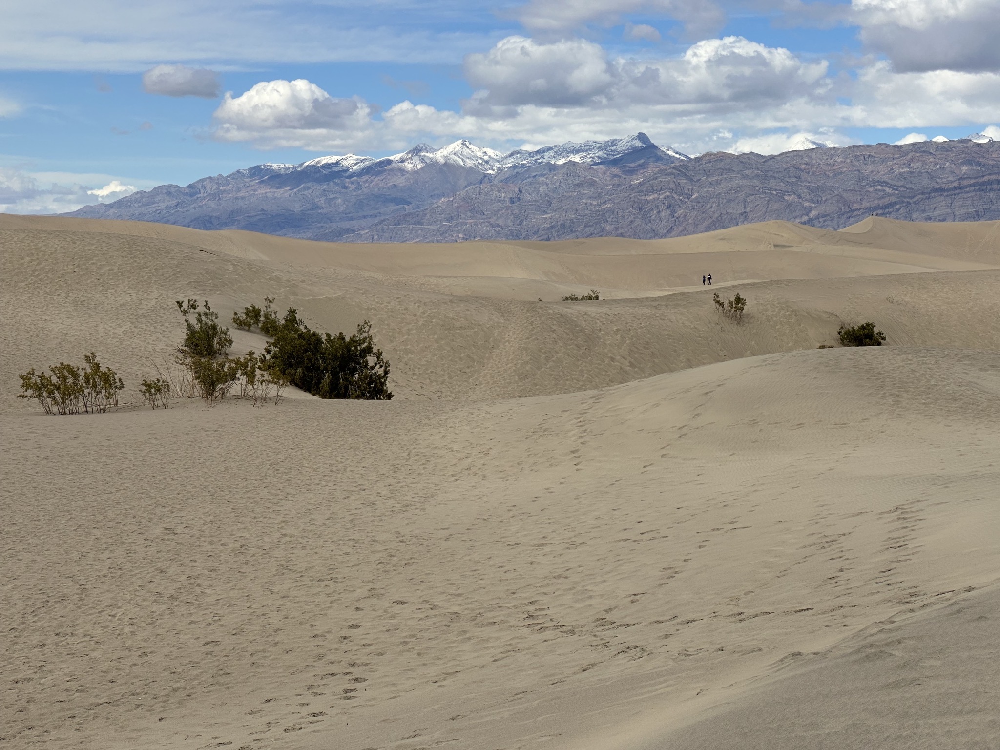Mesquite Flat Sand Dunes