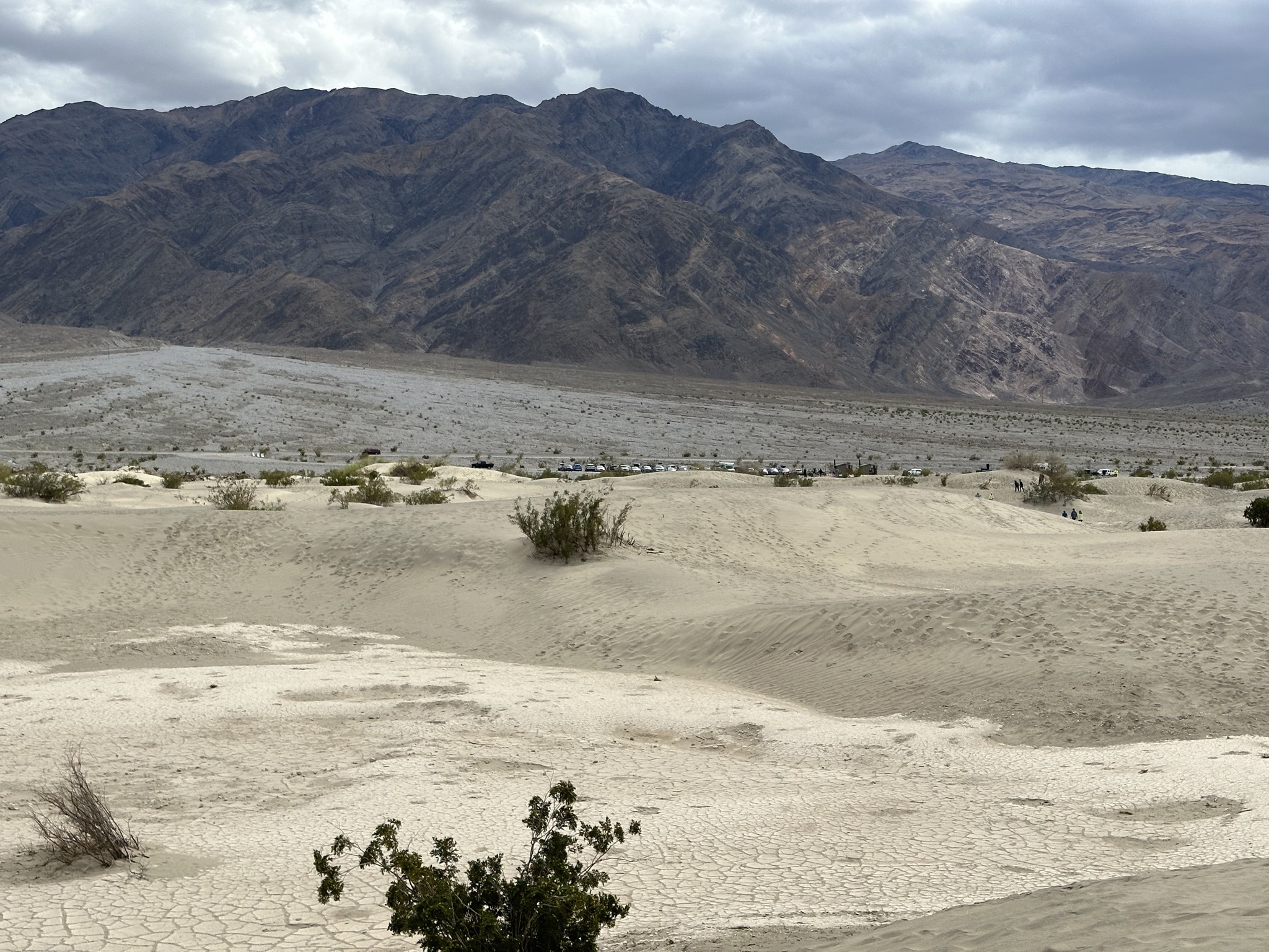 Mesquite Flat Sand Dunes