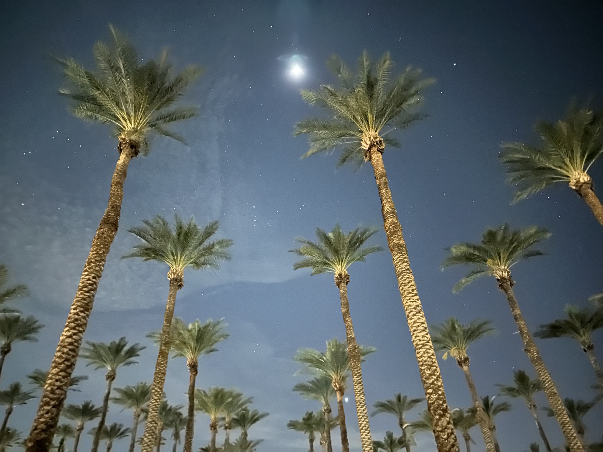 Sky