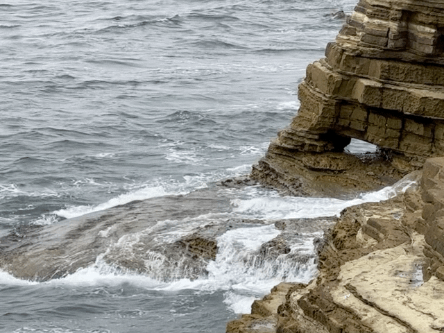 Coast