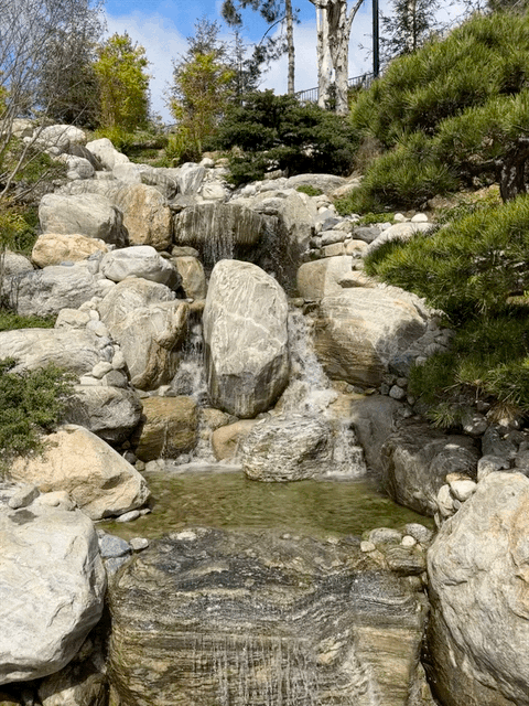 Japanese Friendship Garden