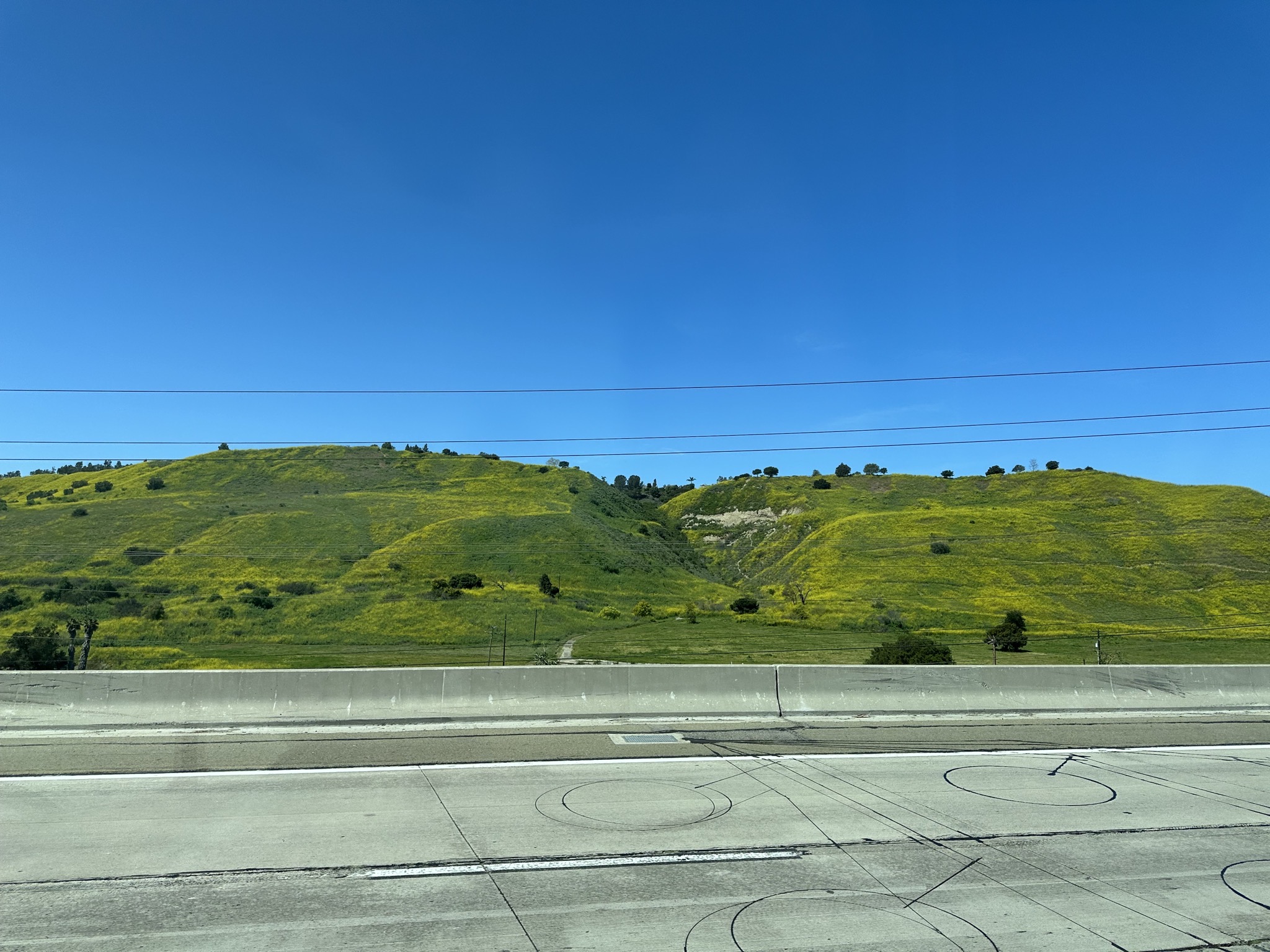Bright green hills