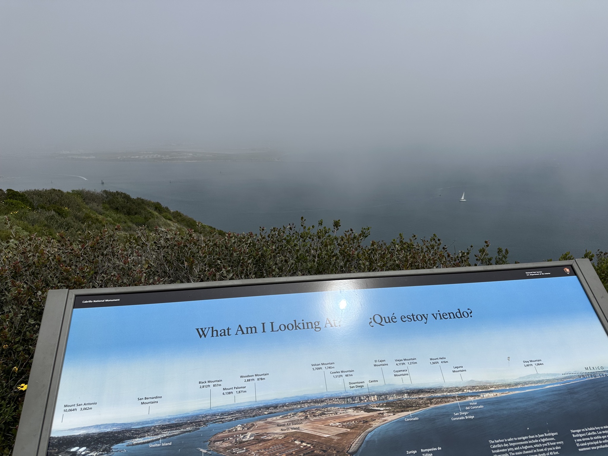 What am I looking at? Fog