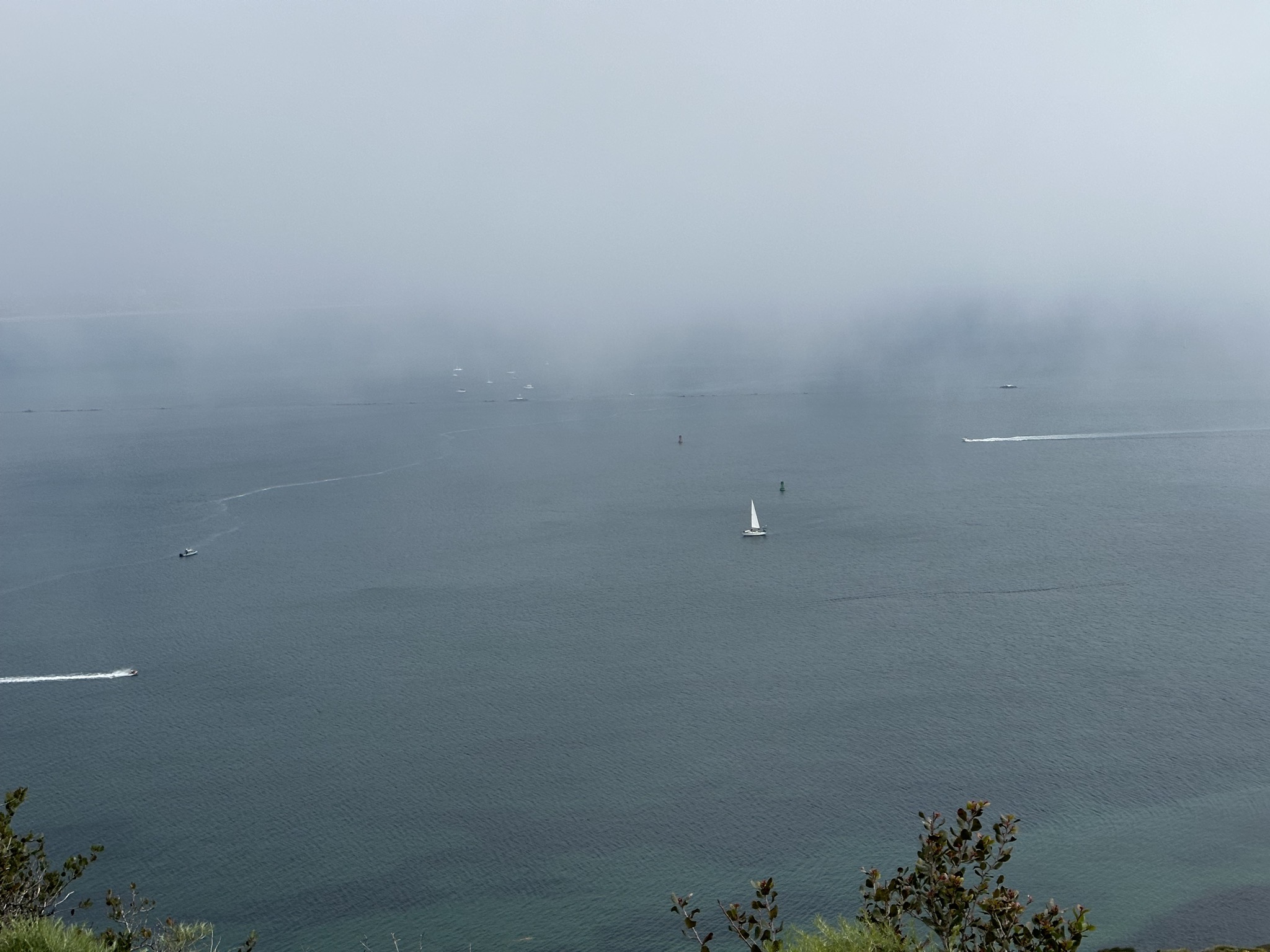 Fog