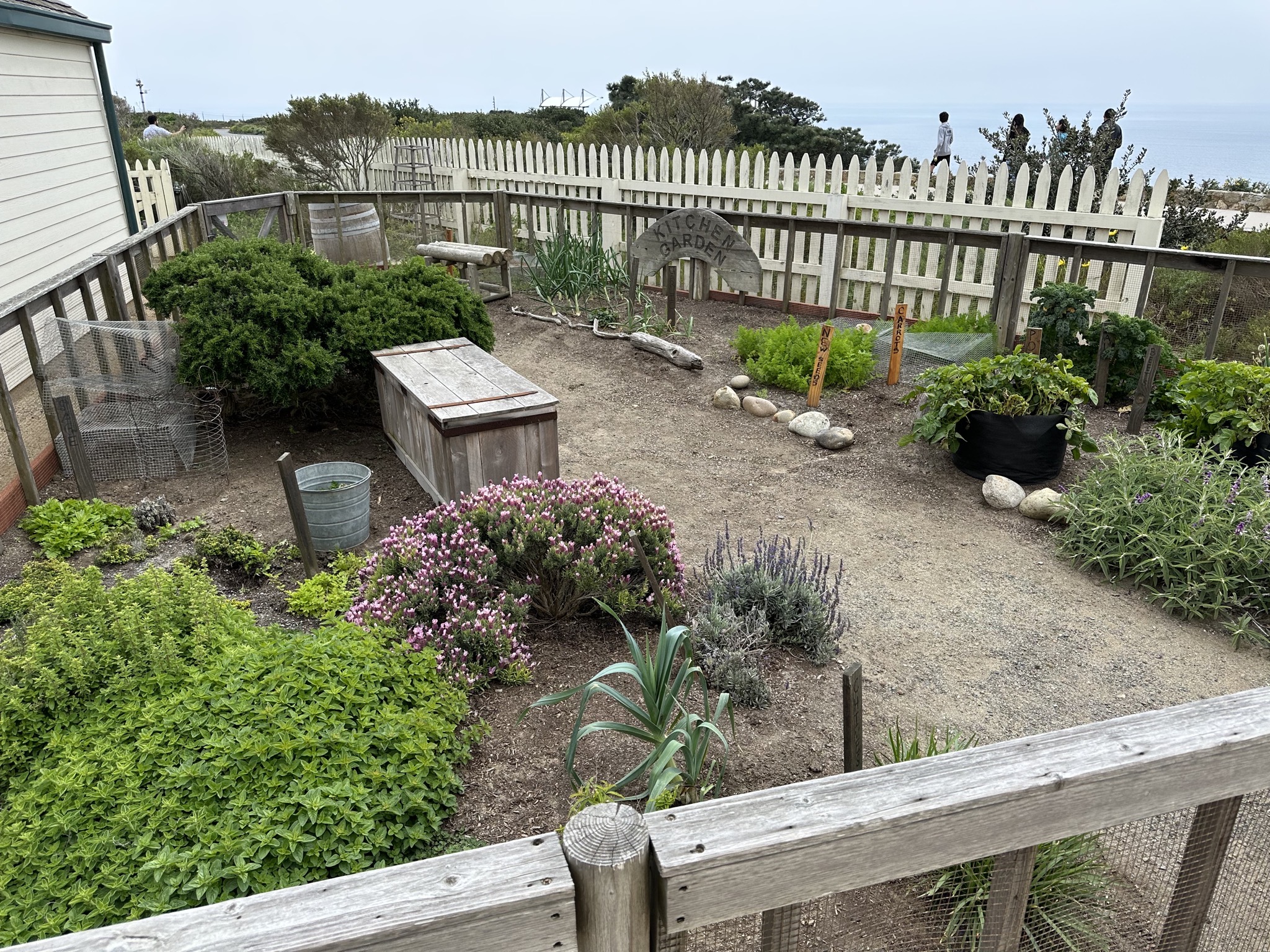 Lighthouse garden