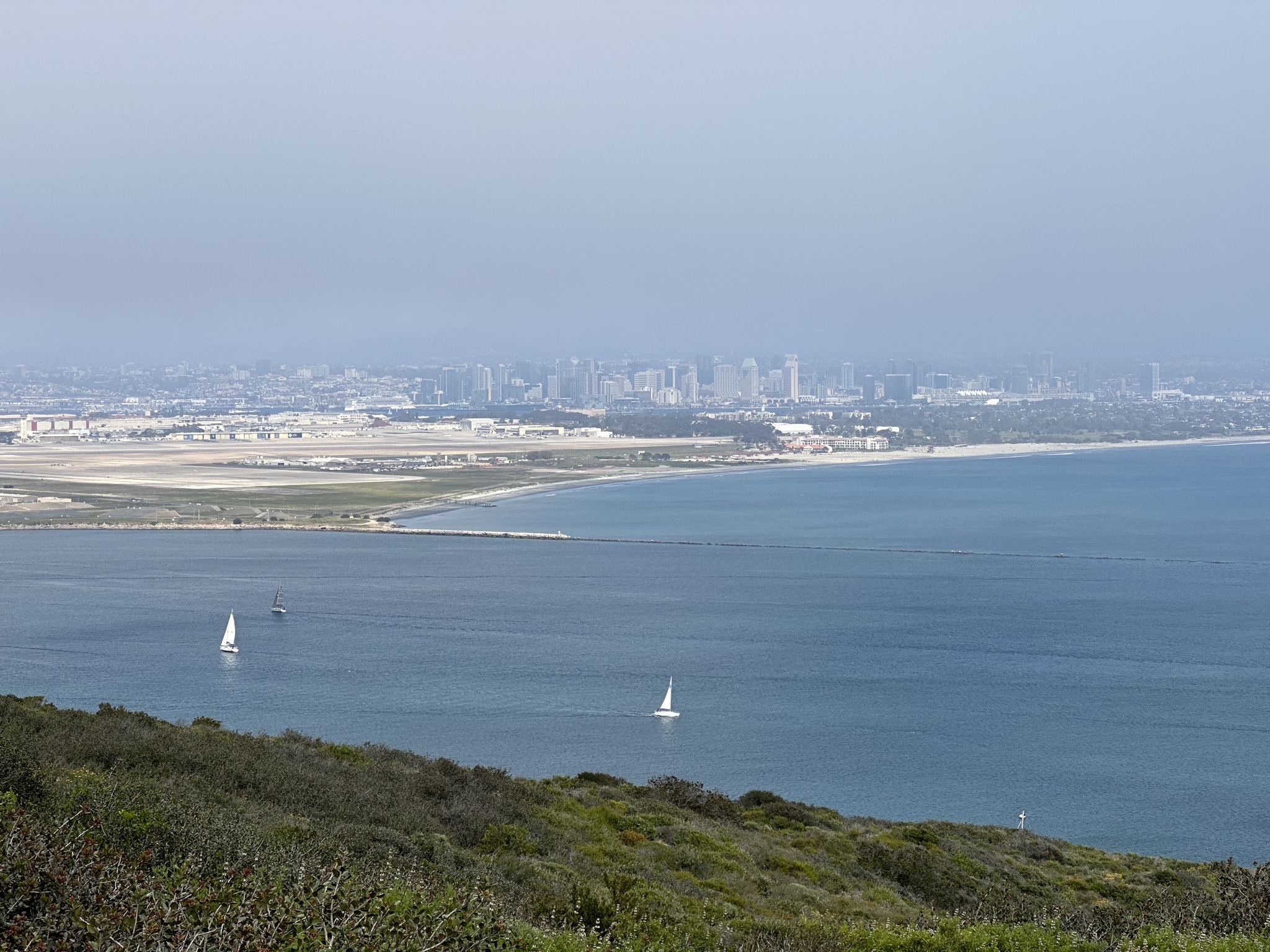 View