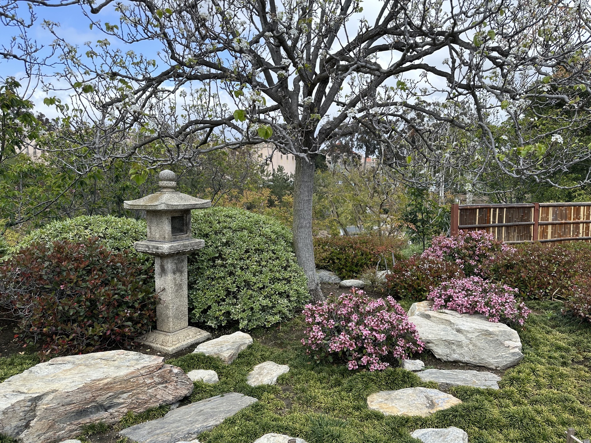 Japanese Friendship Garden