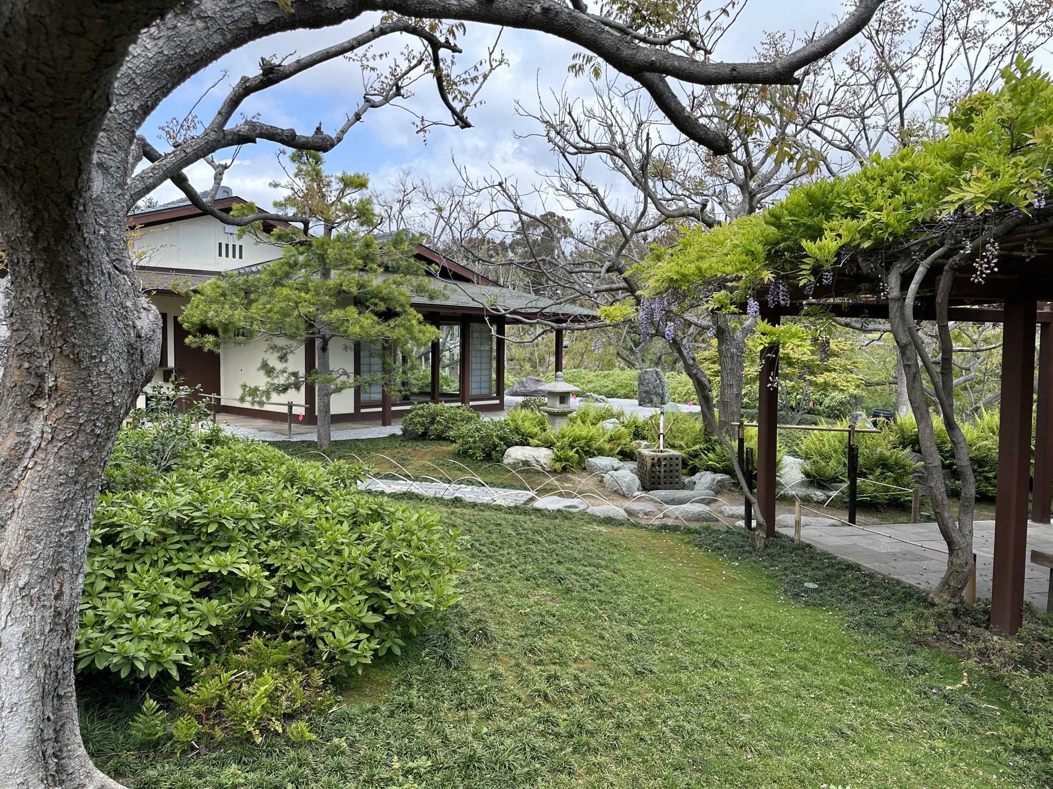 Japanese Friendship Garden