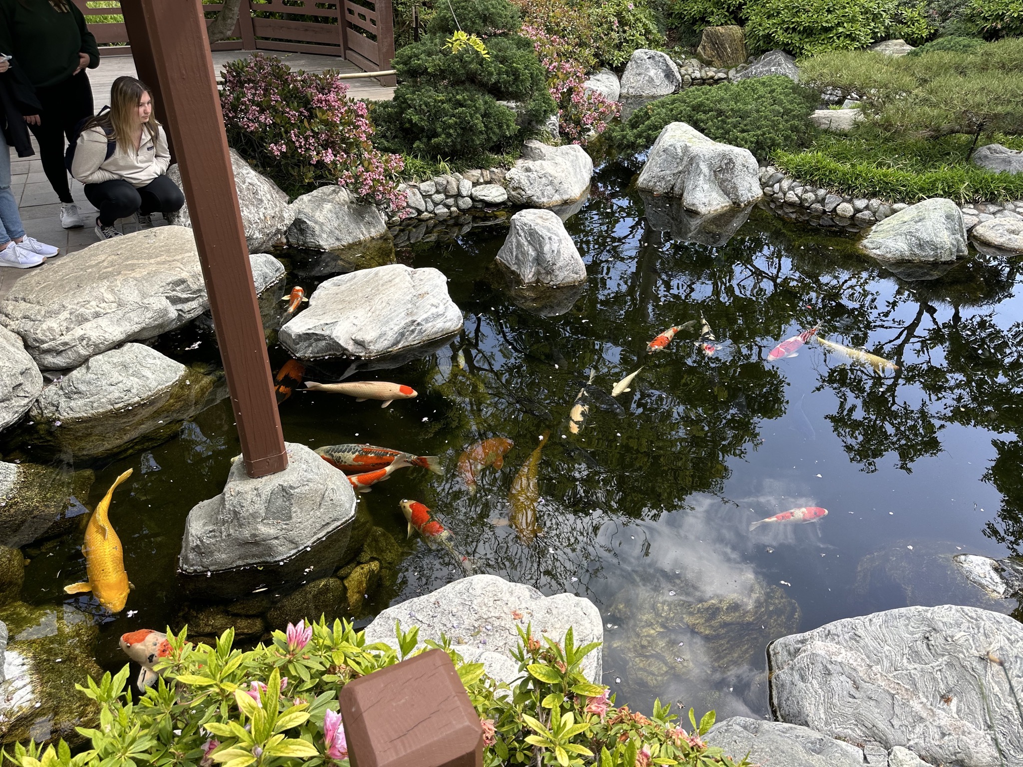Japanese Friendship Garden