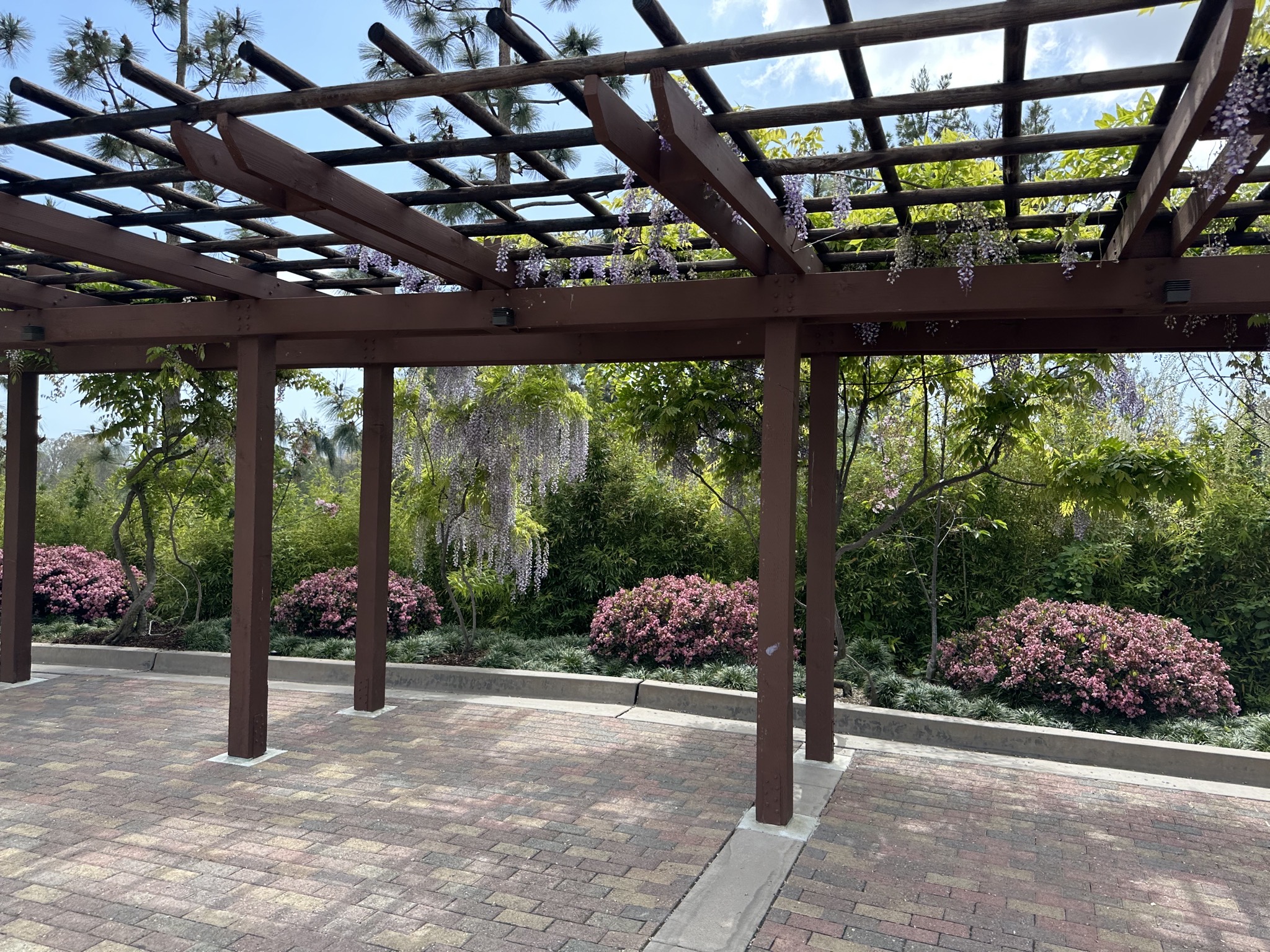 Japanese Friendship Garden
