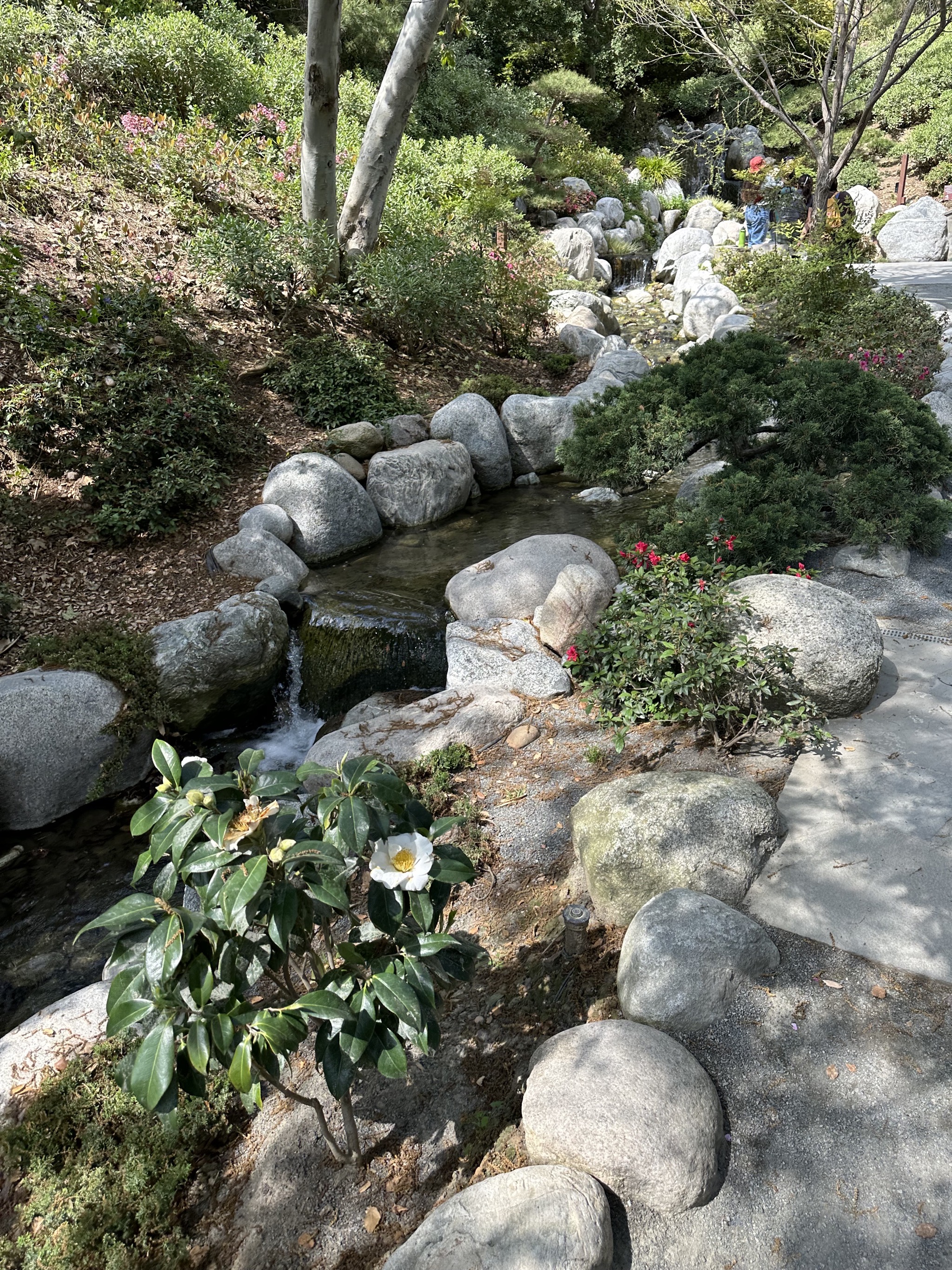 Japanese Friendship Garden