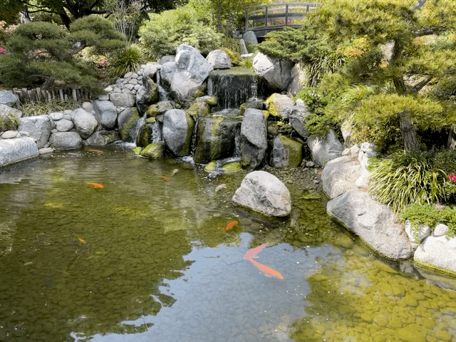 Japanese Friendship Garden