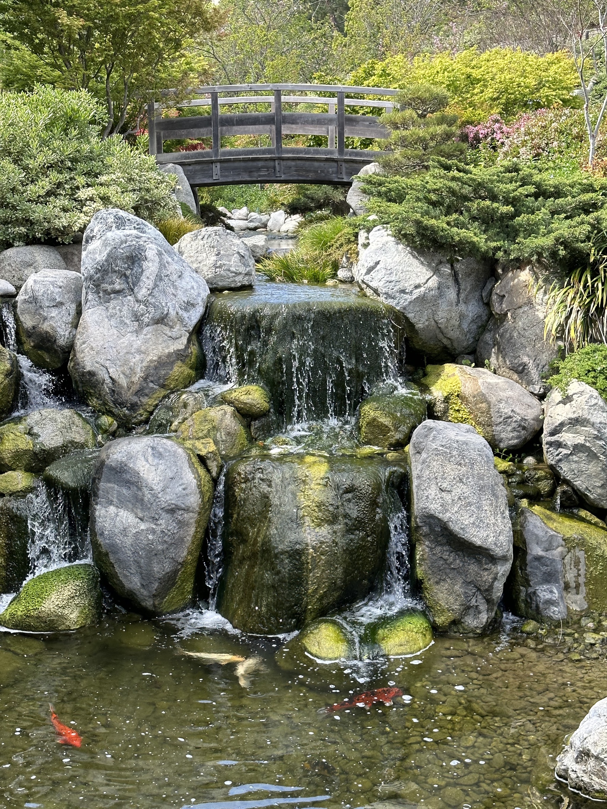 Japanese Friendship Garden