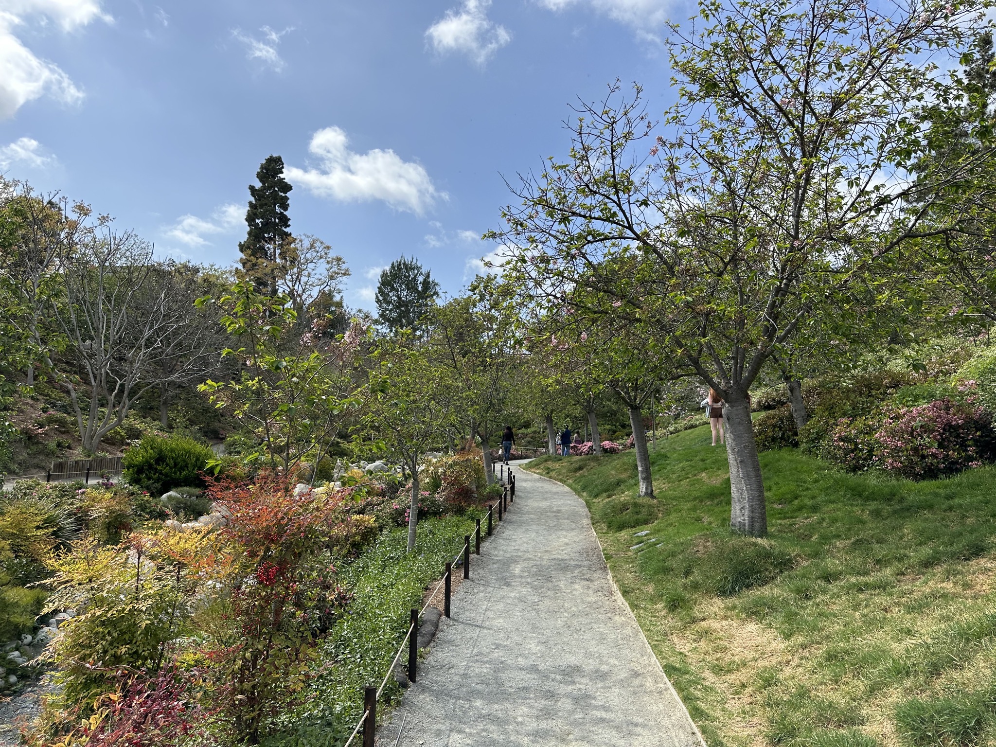 Japanese Friendship Garden