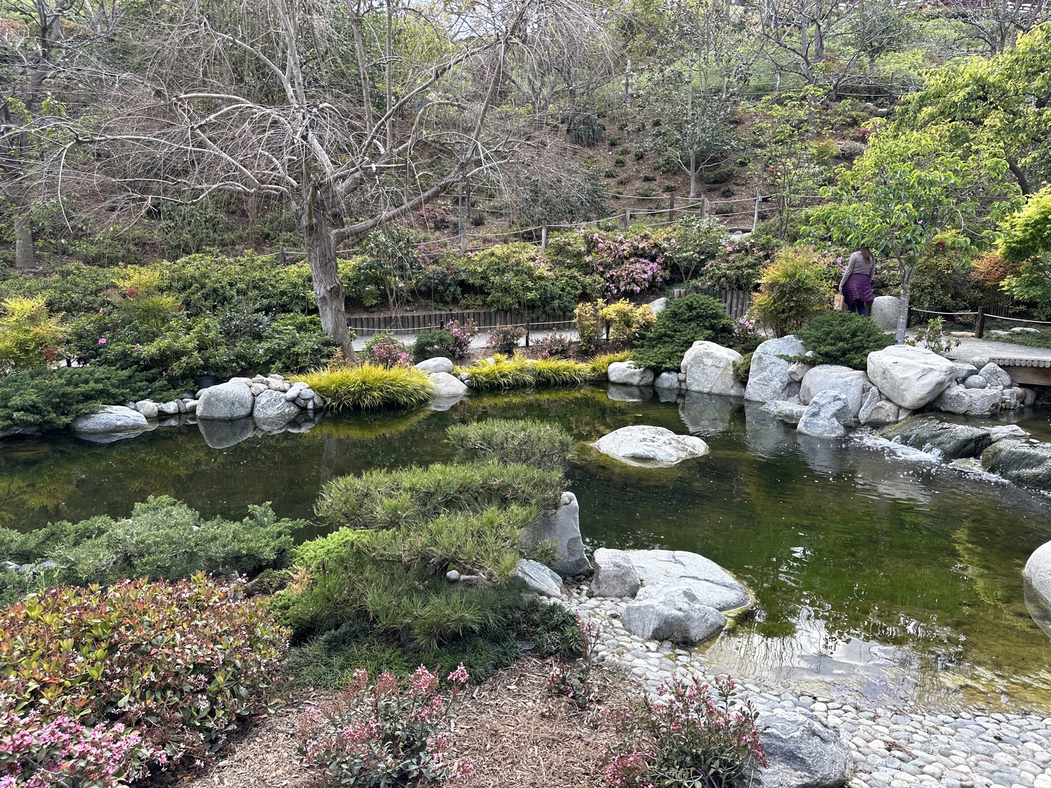 Japanese Friendship Garden